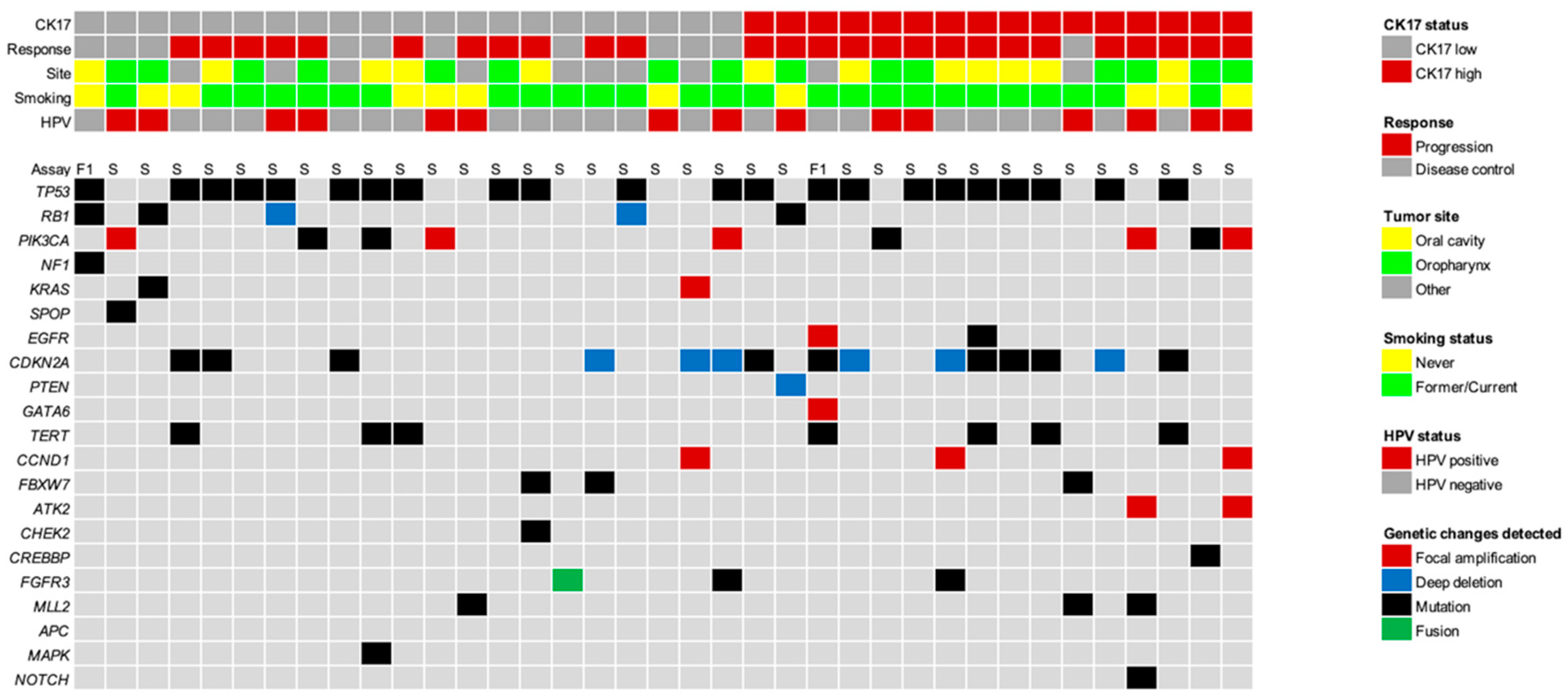 Cancers 15 04905 g002