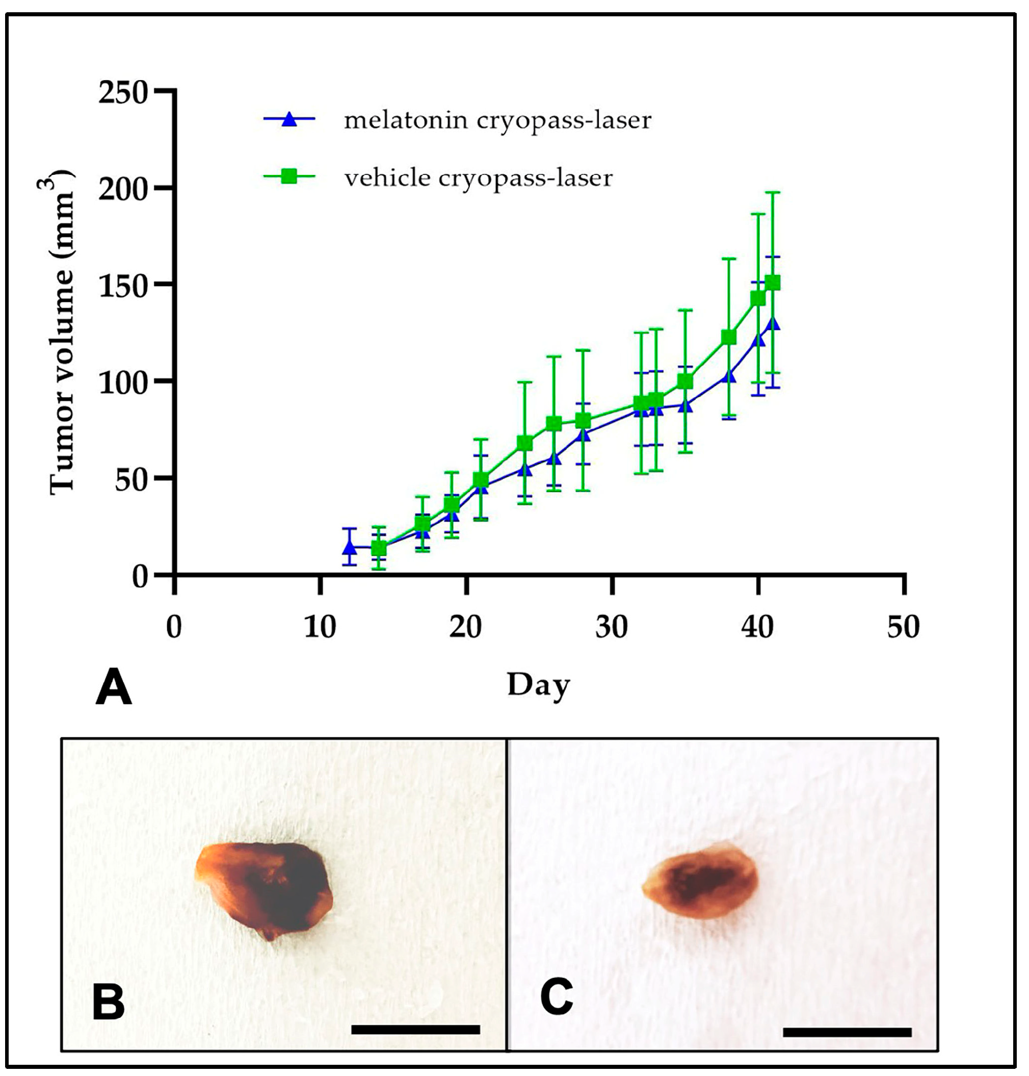 Cancers 15 04908 g002 Cancers 15 04908 g002