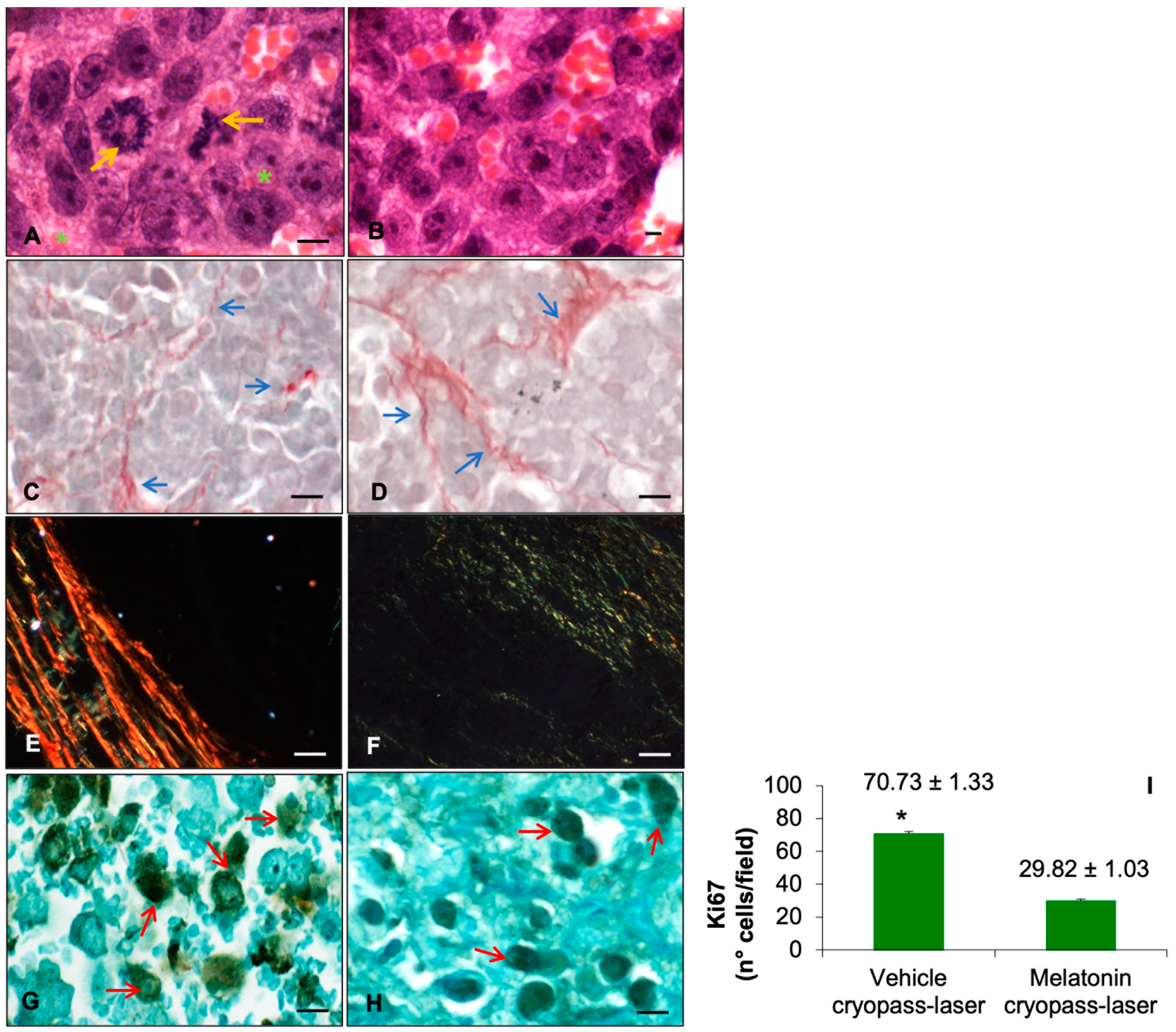 Cancers 15 04908 g003 Cancers 15 04908 g003
