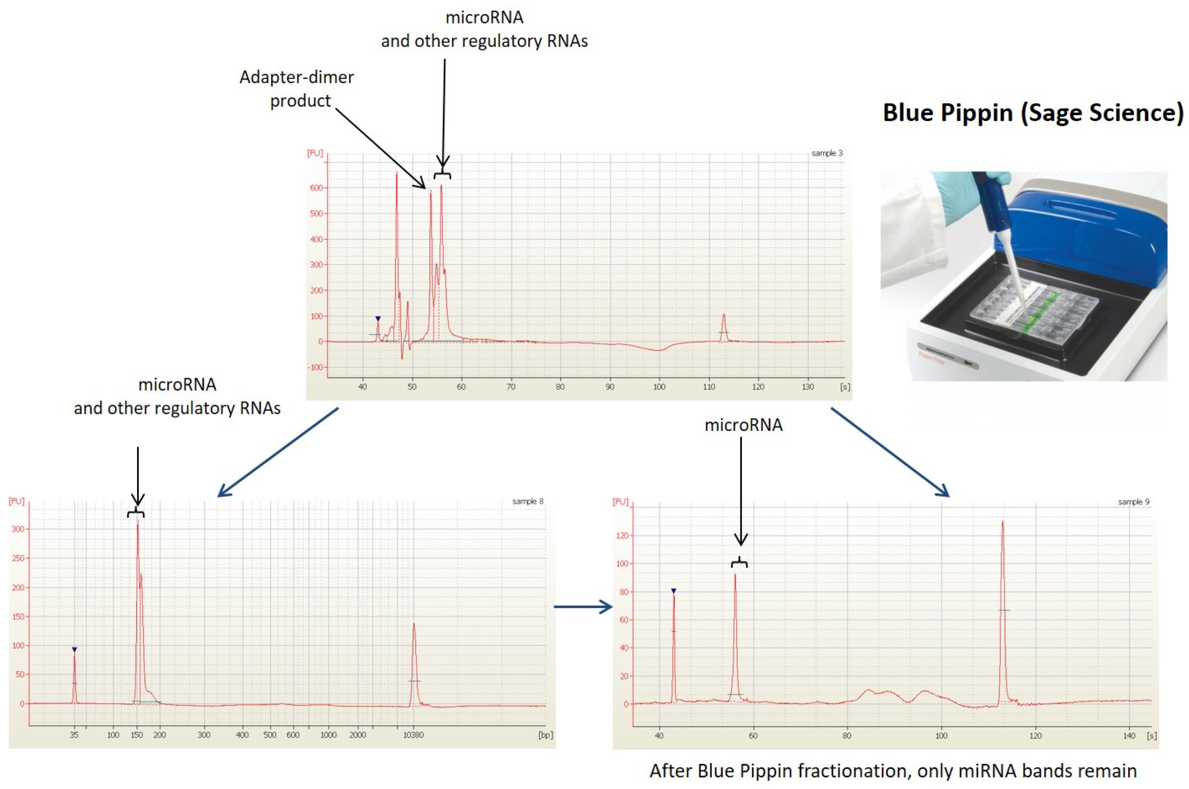 Cancers 15 04910 g003 Cancers 15 04910 g003