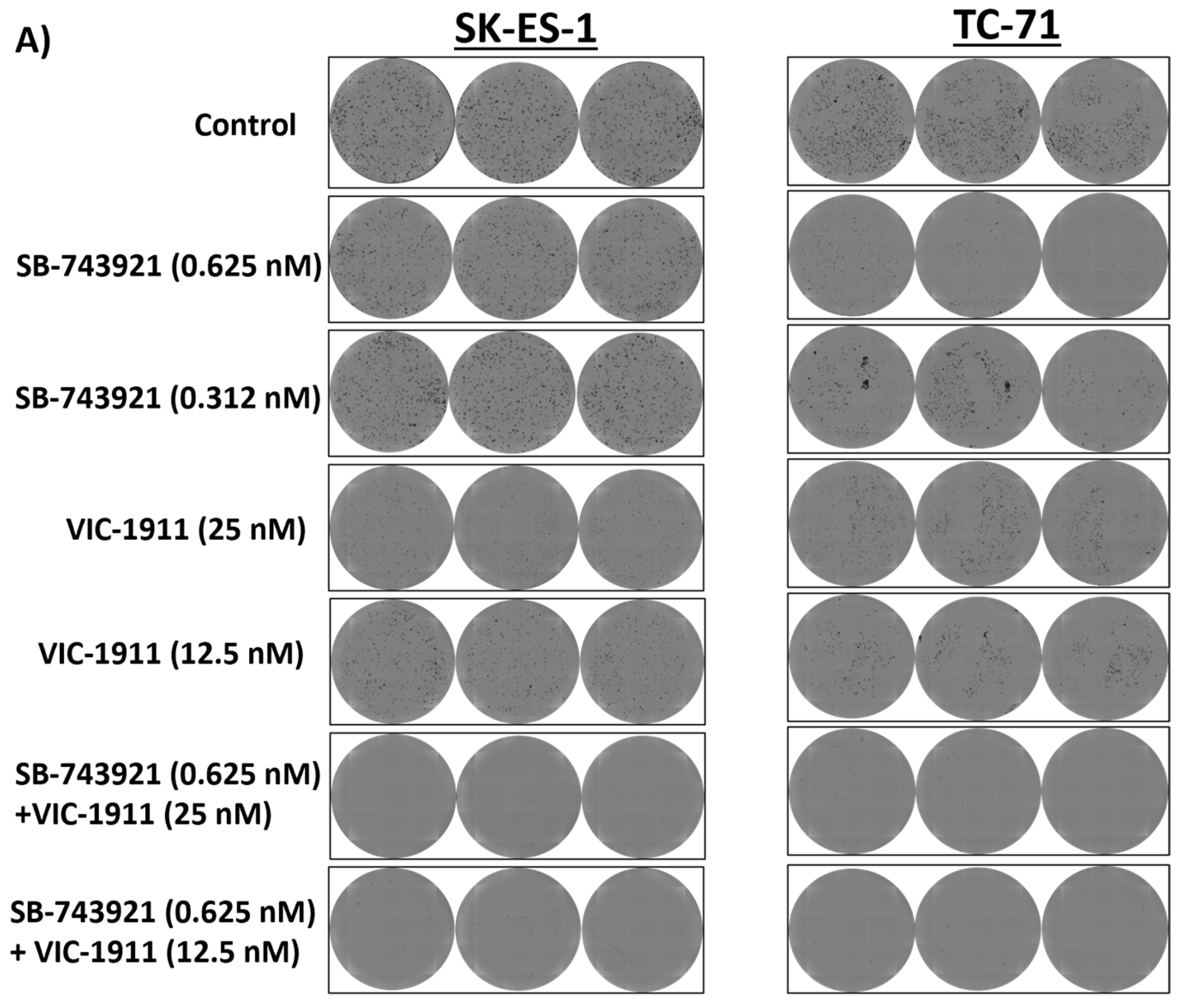 Cancers 15 04911 g004a