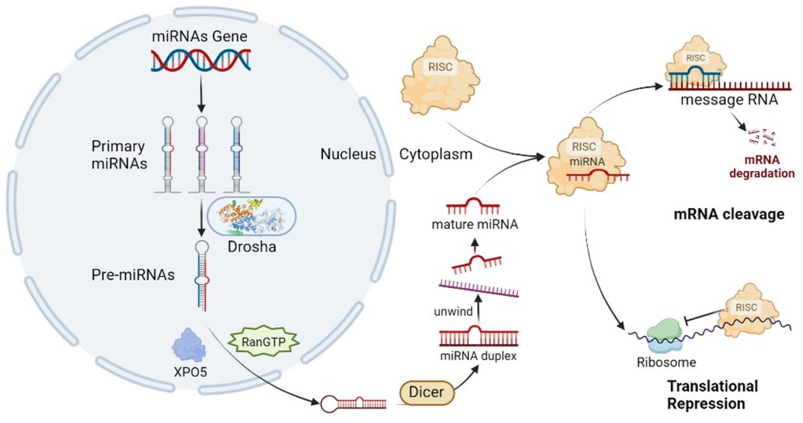 Cancers 15 04915 g001
