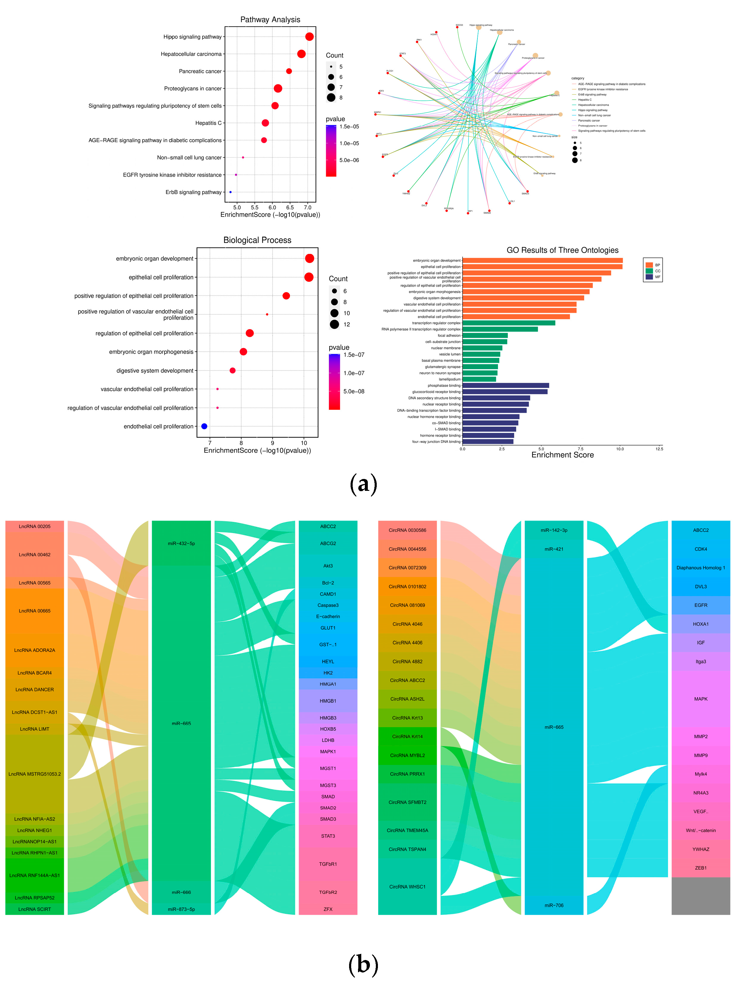 Cancers 15 04915 g002