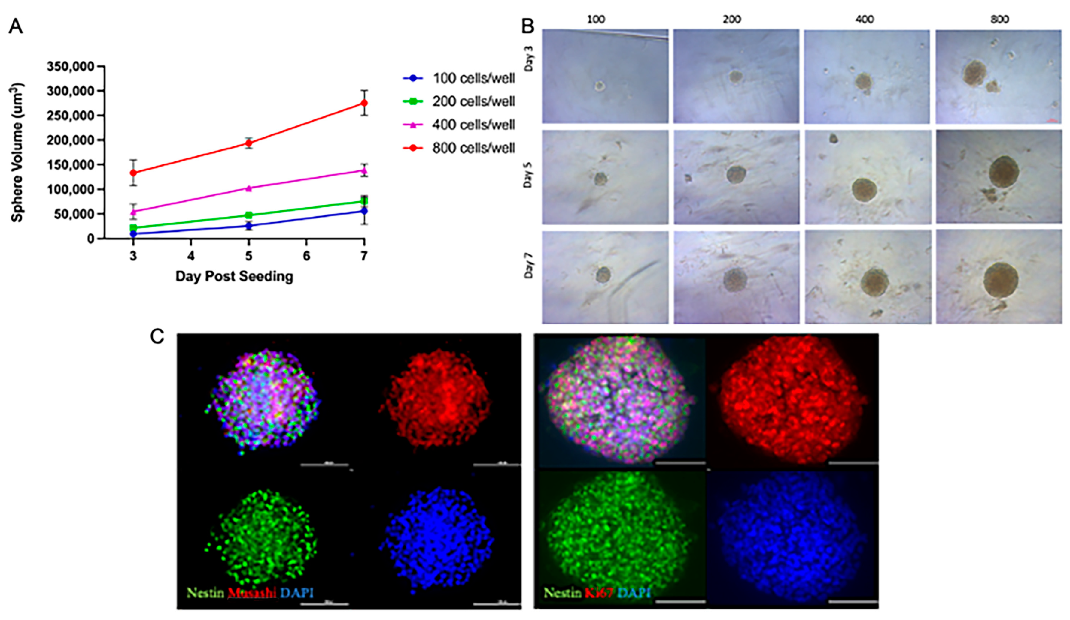 Cancers 15 04916 g001