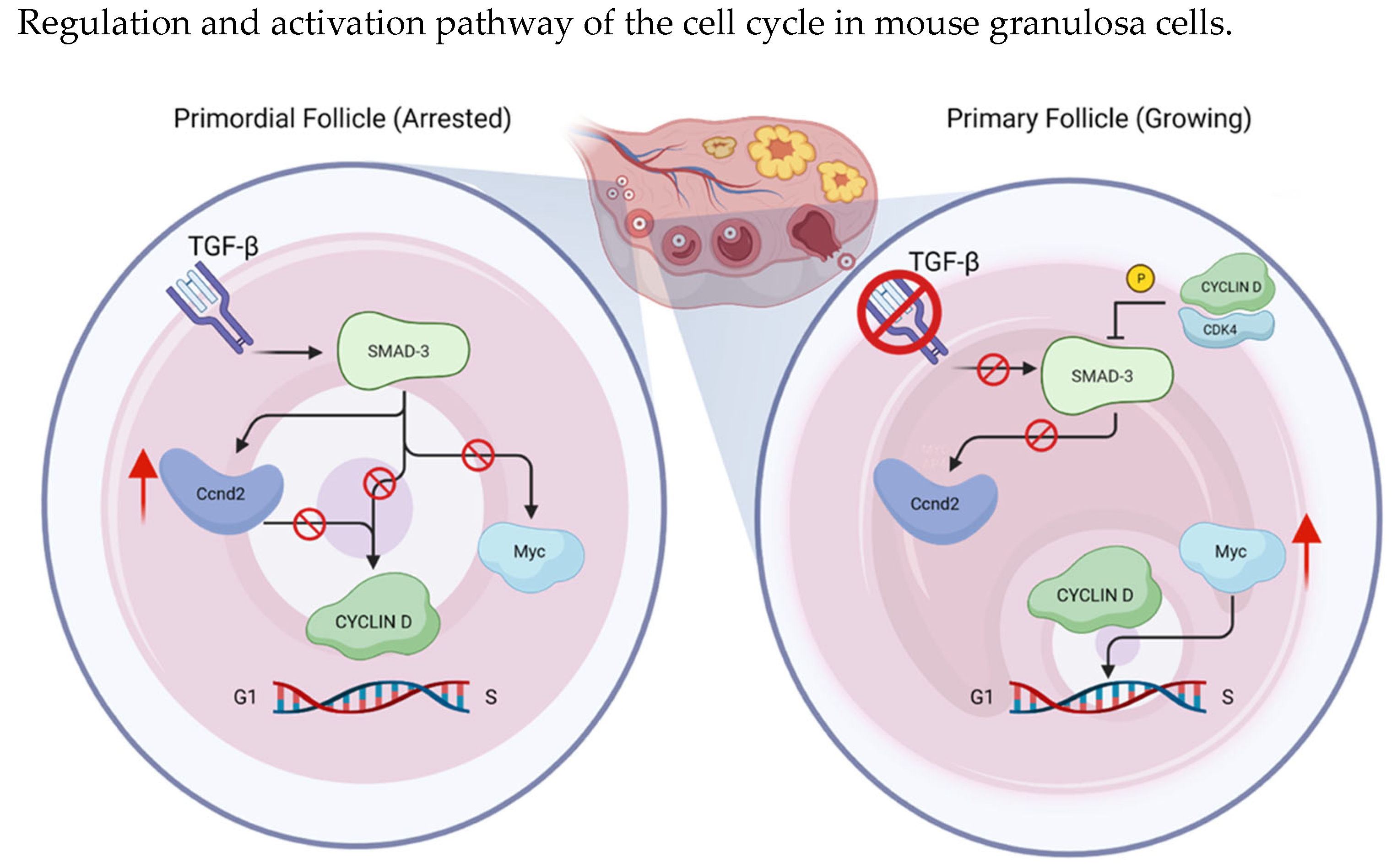 Cancers 15 04923 g004