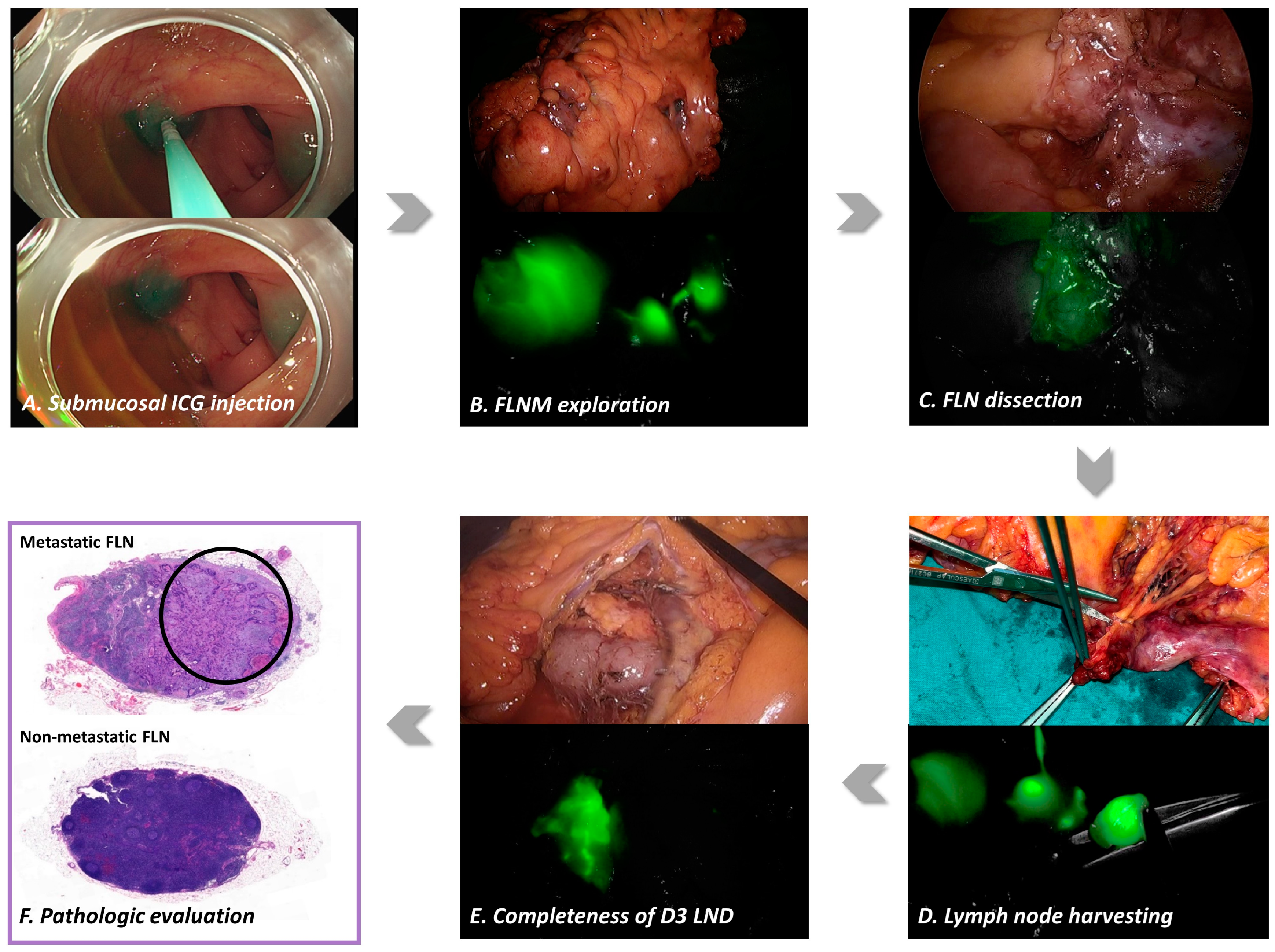 Cancers 15 04927 g002