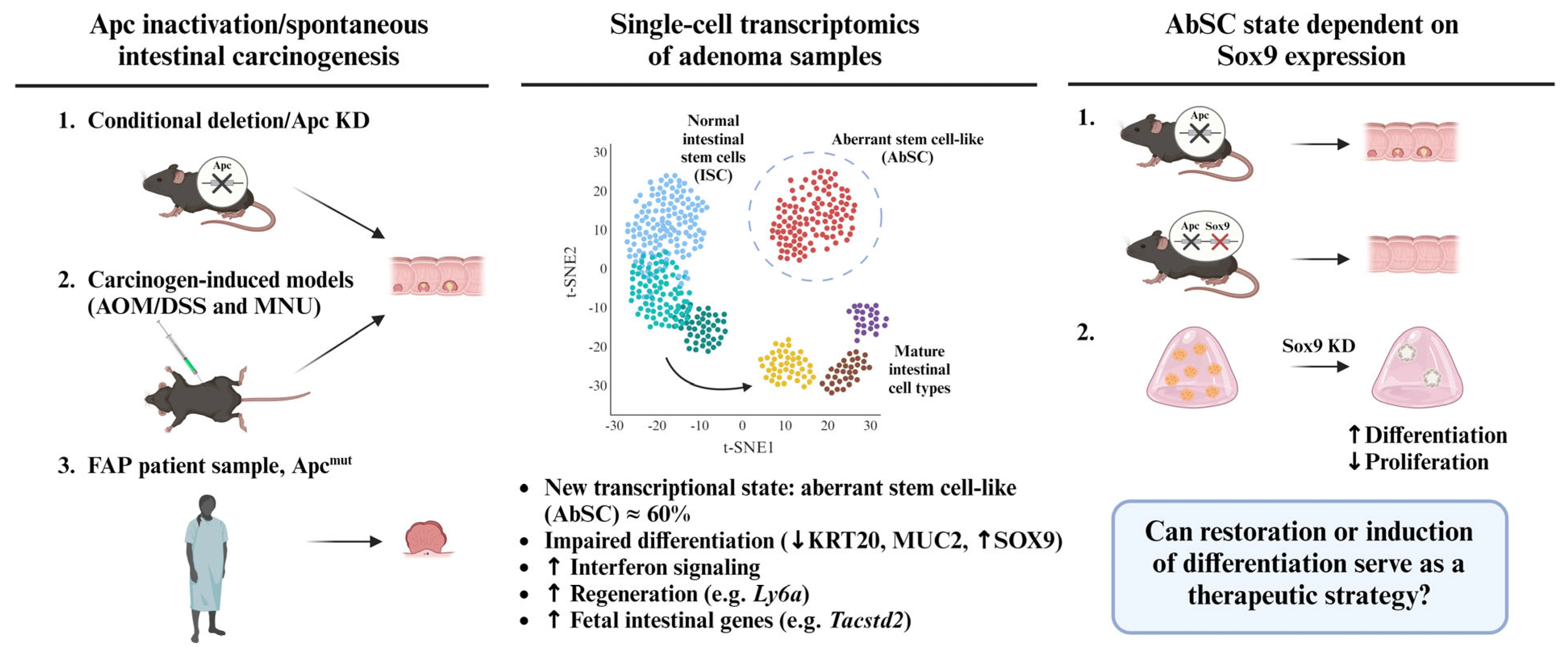 Cancers 15 04928 g001