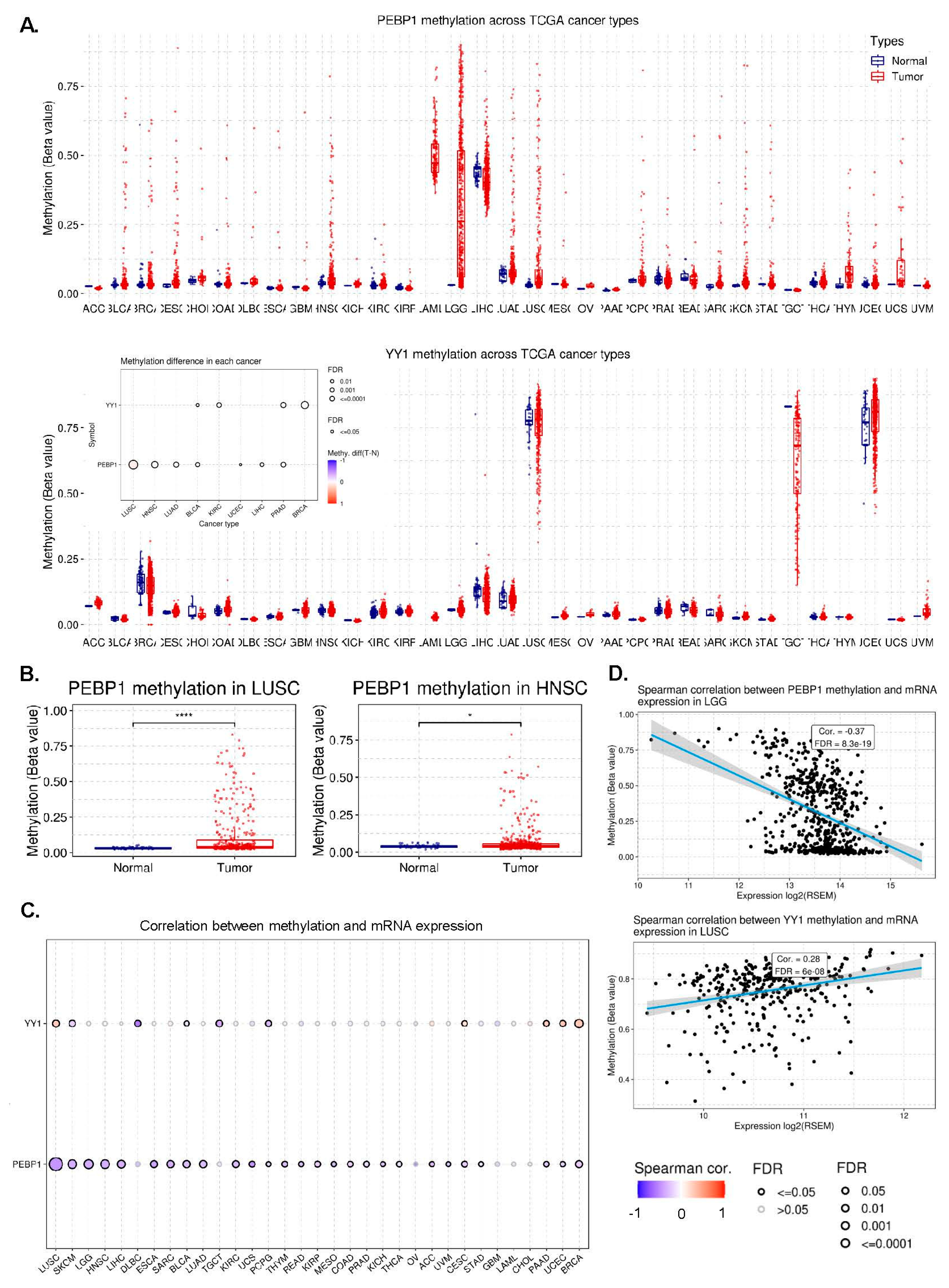 Cancers 15 04932 g004