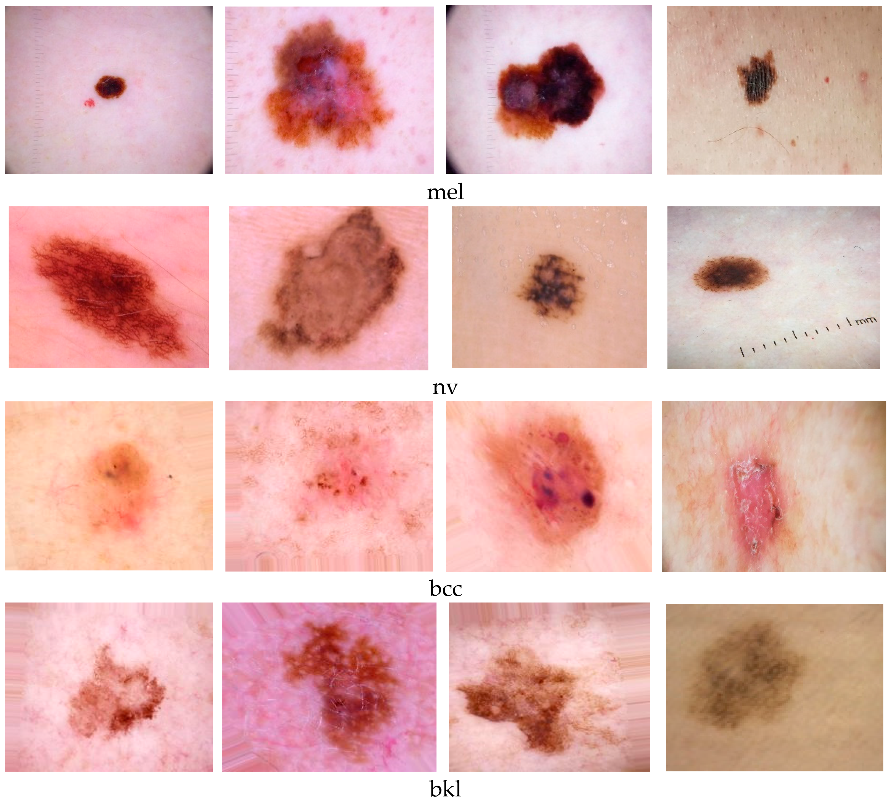 Cancers 15 04946 g001