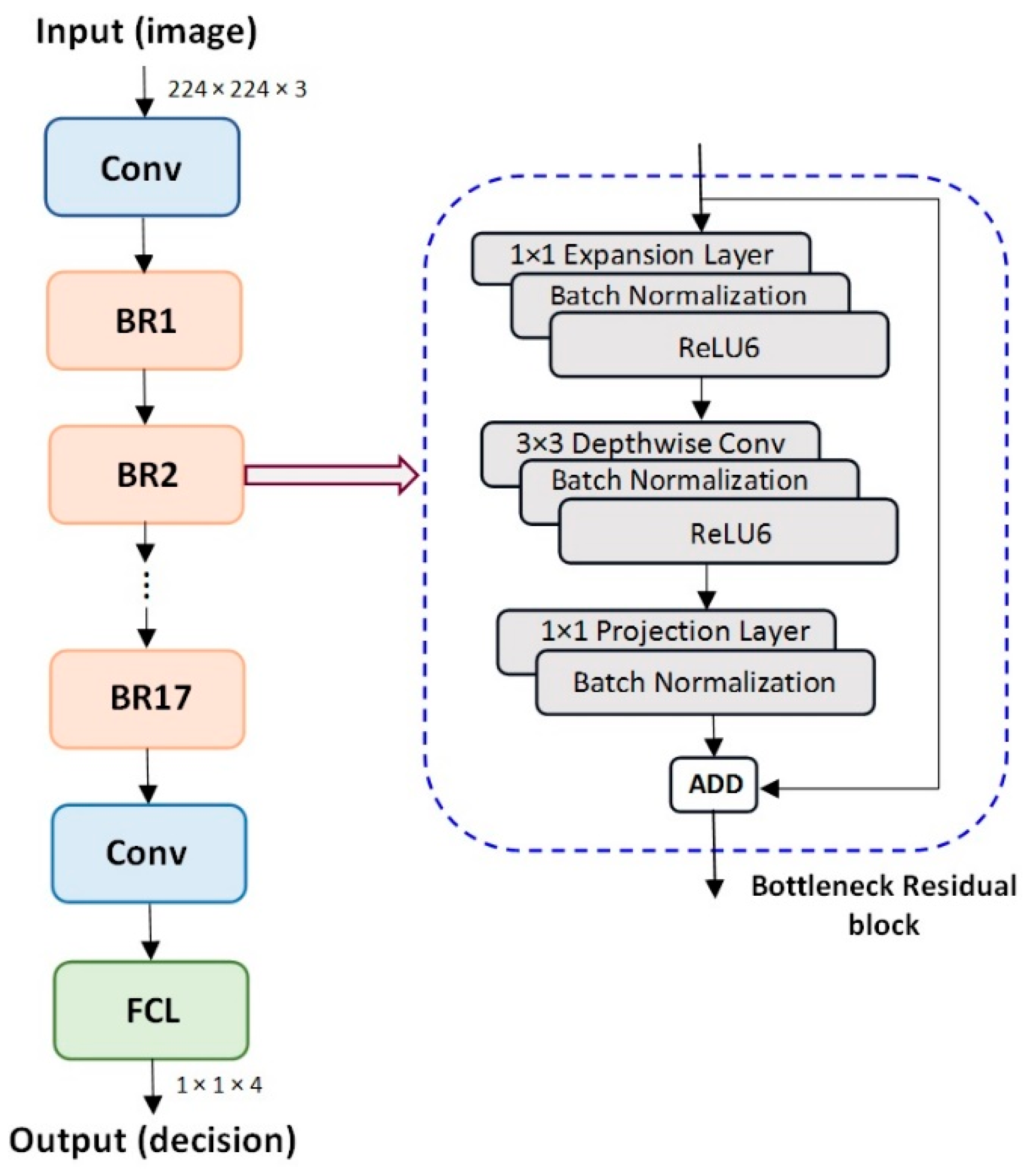 Cancers 15 04946 g002