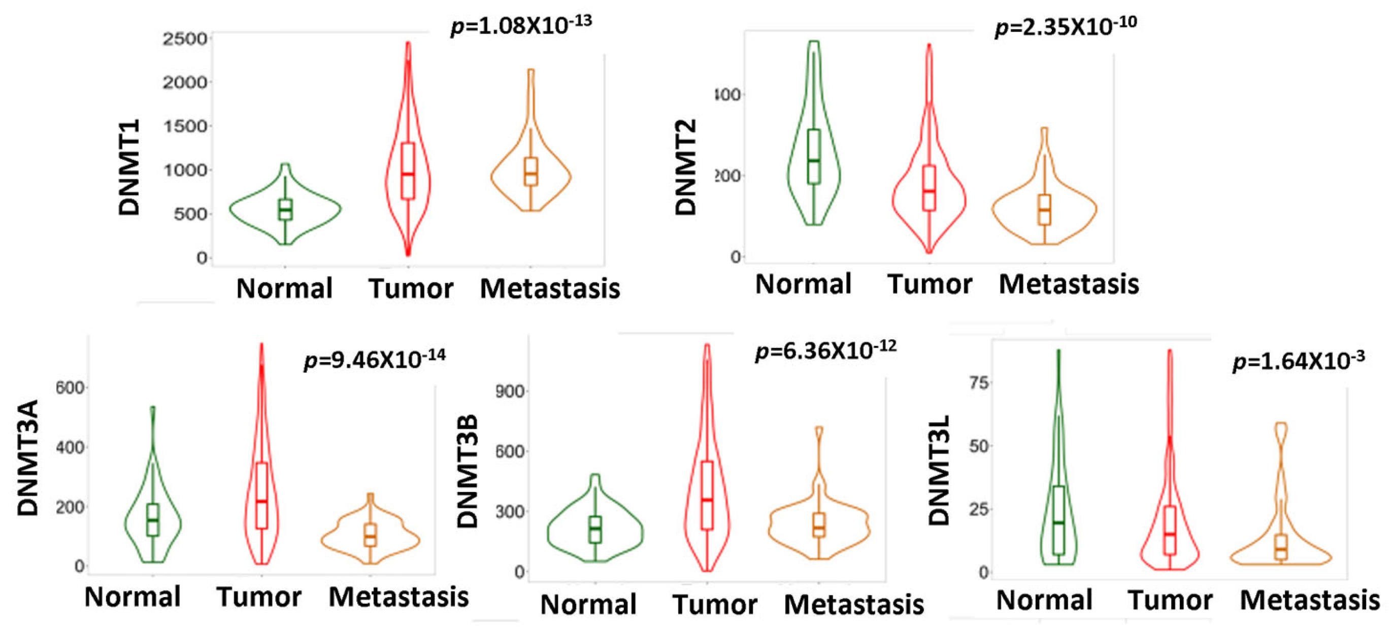Cancers 15 04950 g002