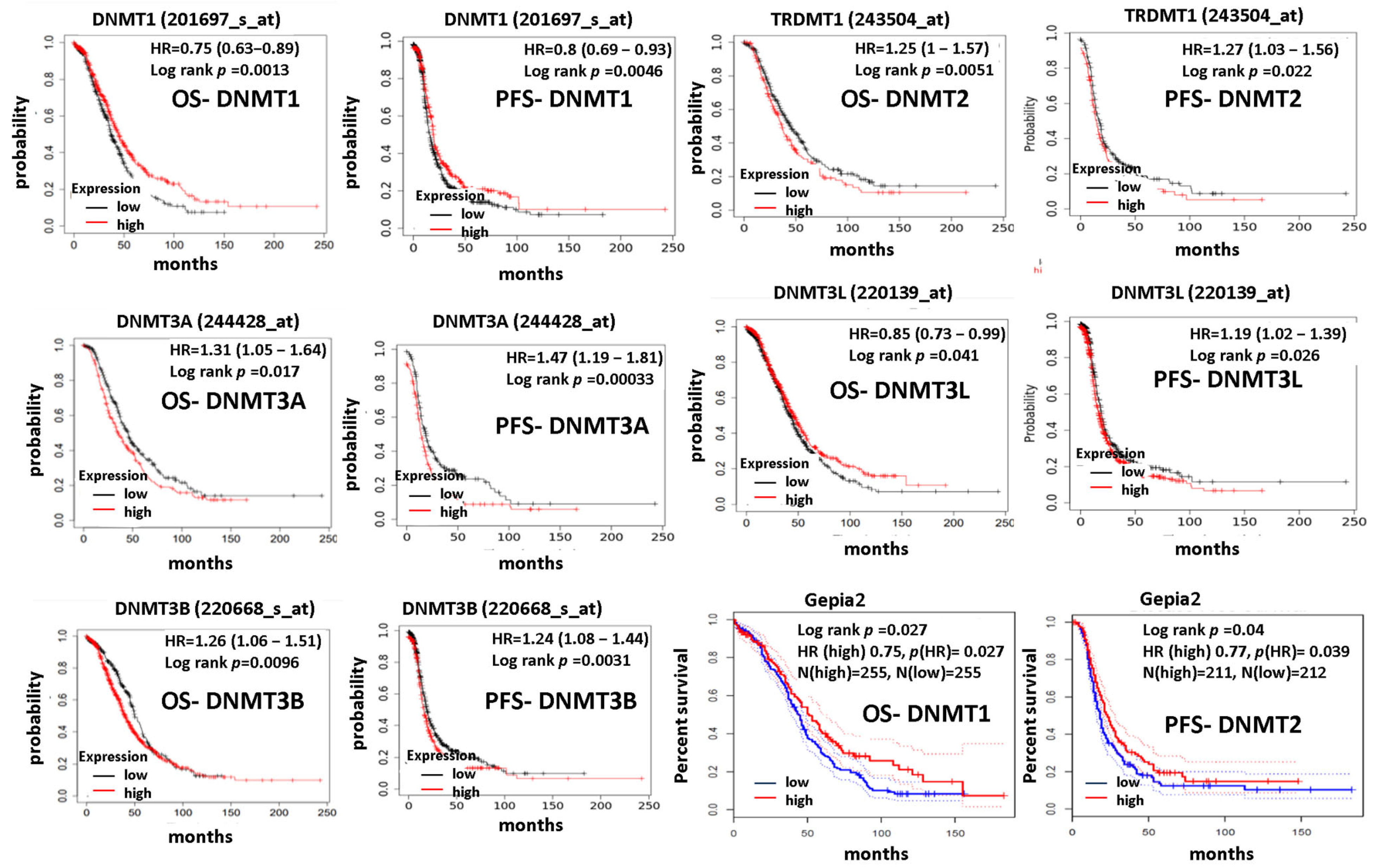 Cancers 15 04950 g005