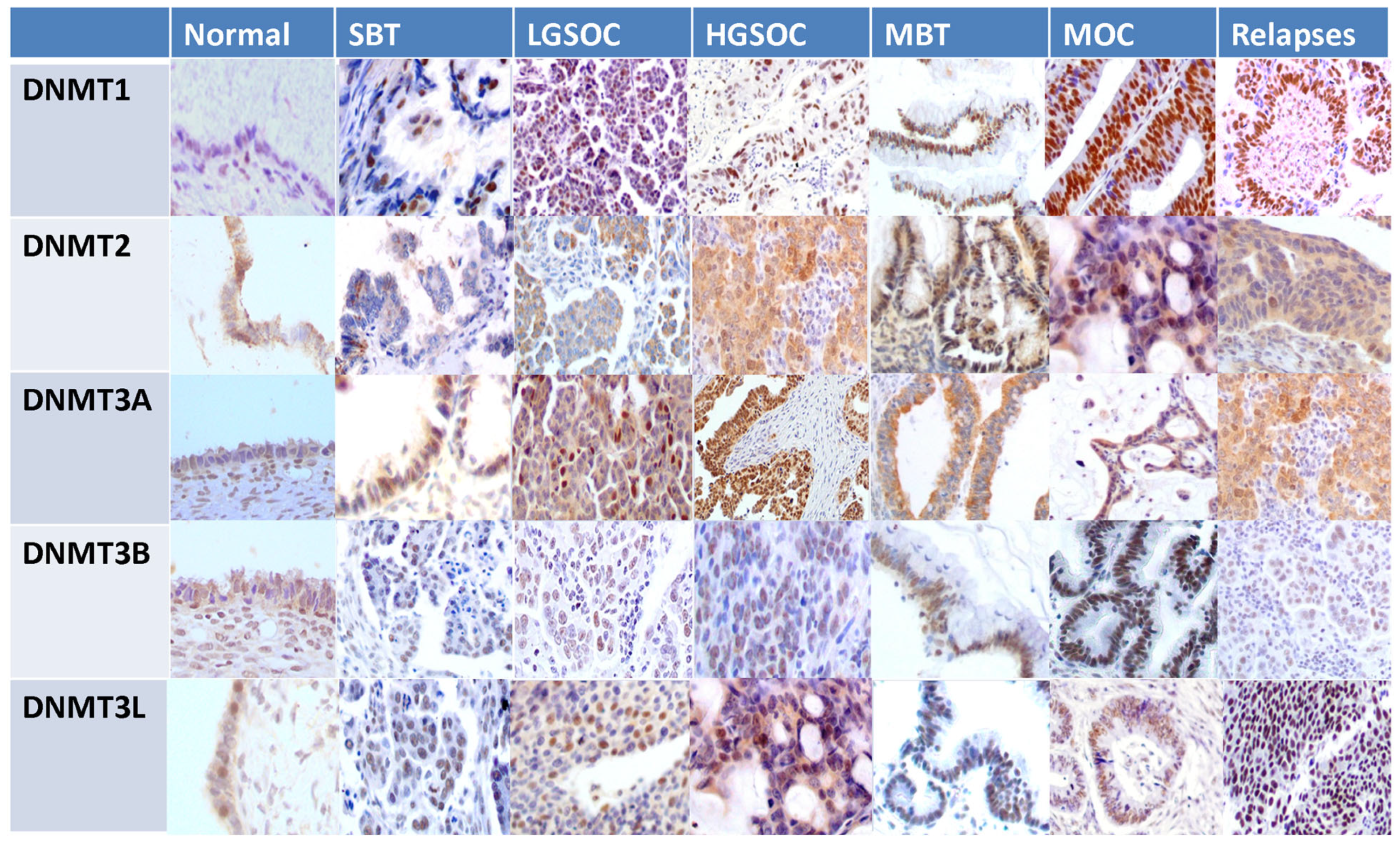 Cancers 15 04950 g007