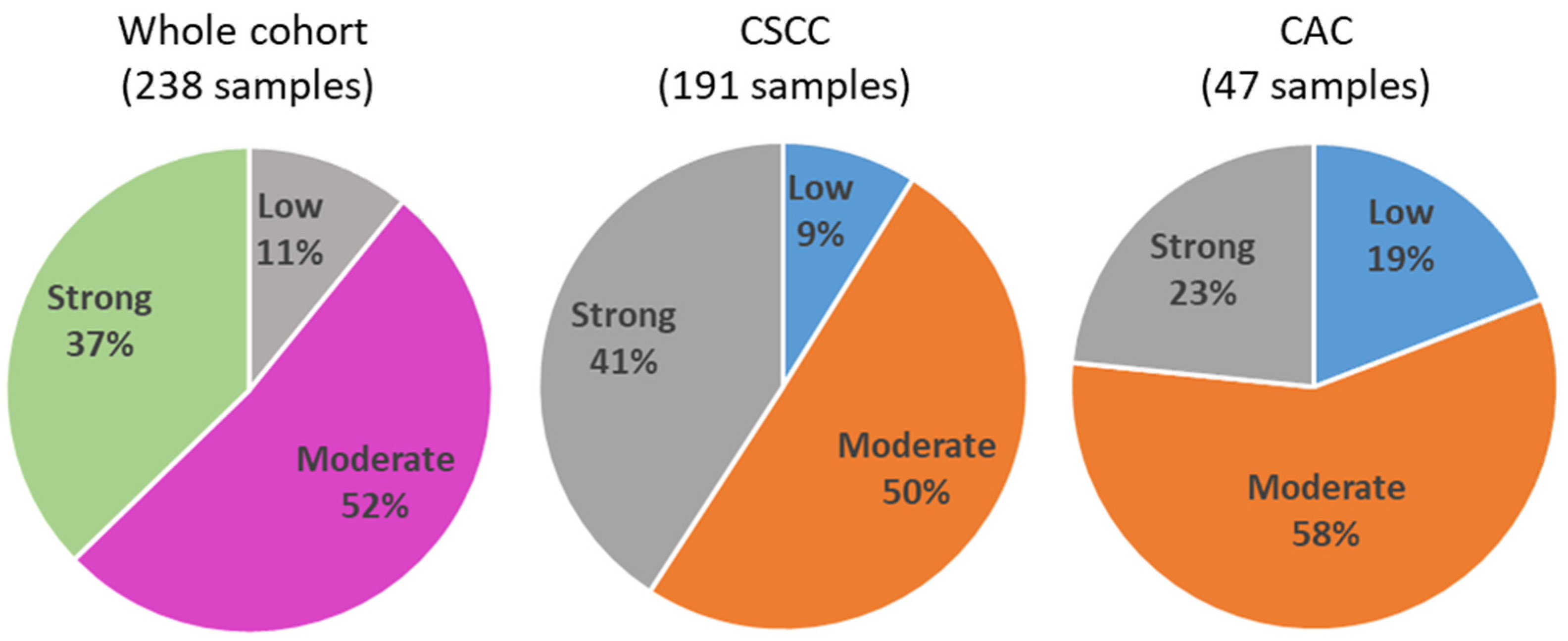 Cancers 15 04952 g001 Cancers 15 04952 g001