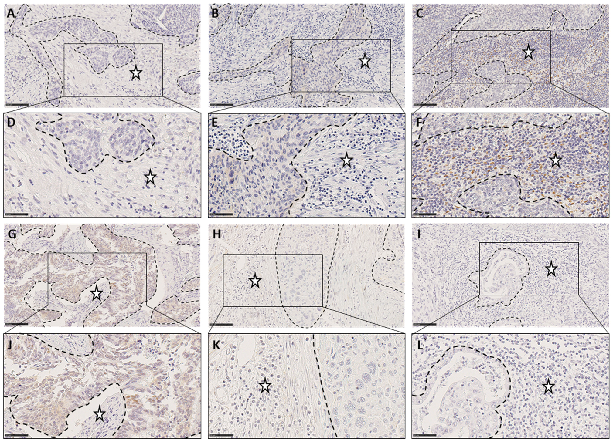 Cancers 15 04952 g003 Cancers 15 04952 g003