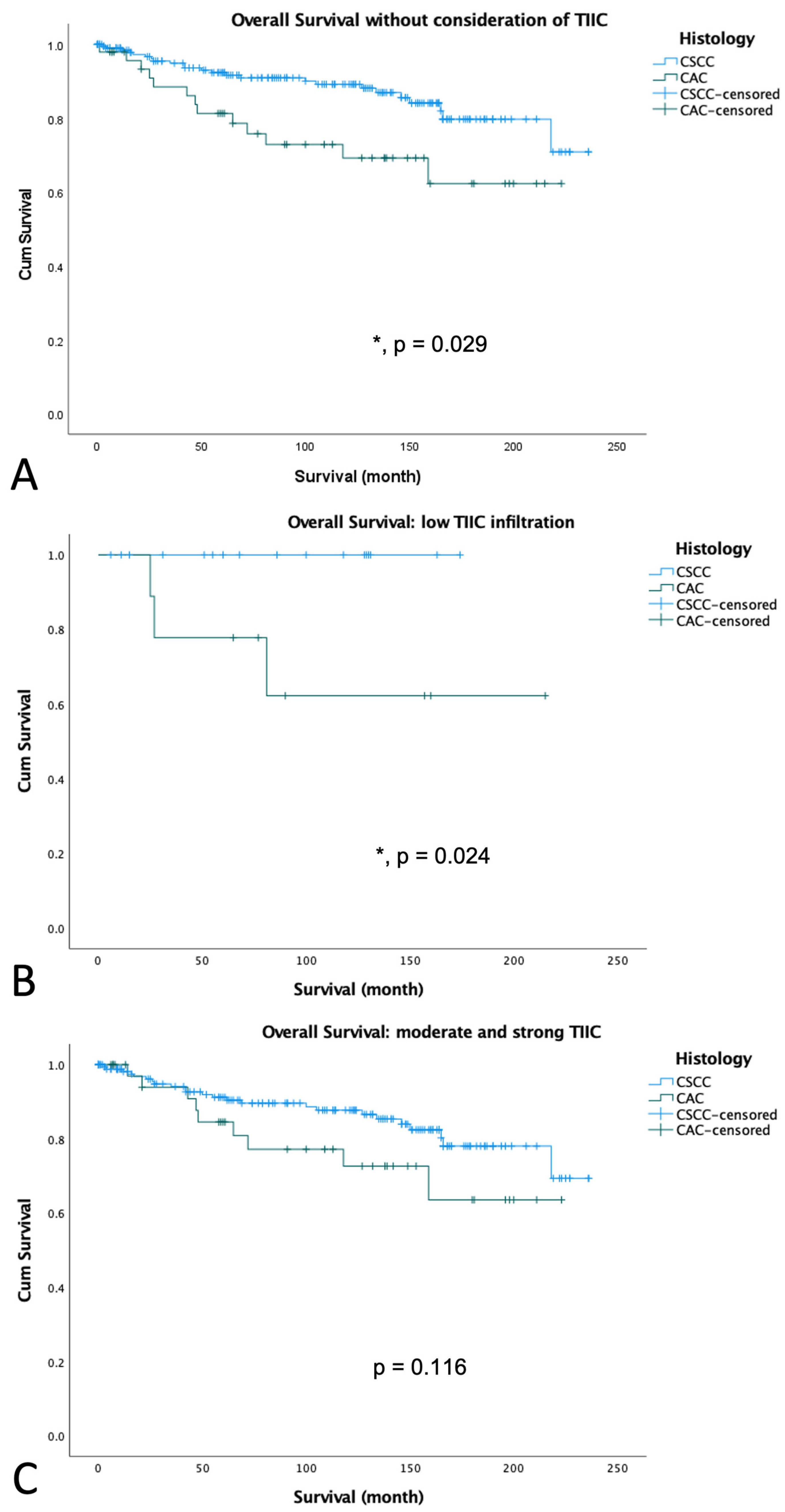 Cancers 15 04952 g004 Cancers 15 04952 g004