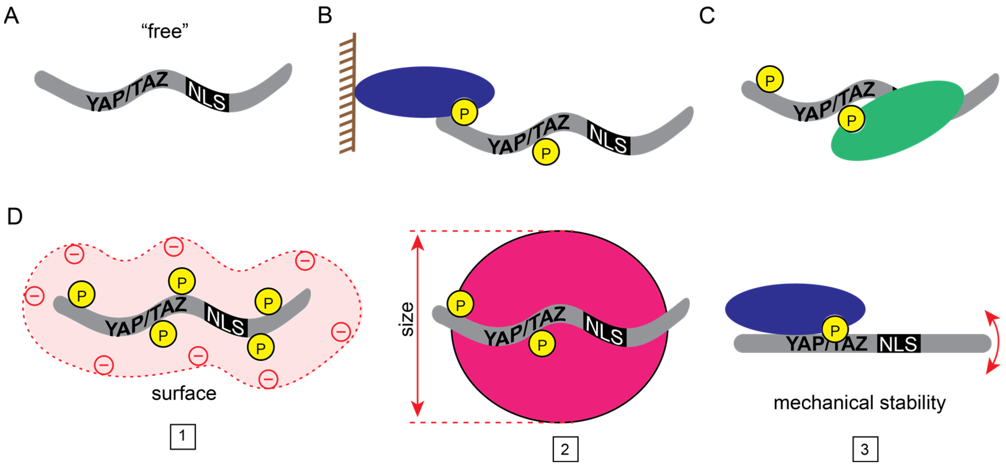 Cancers 15 04956 g001 Cancers 15 04956 g001