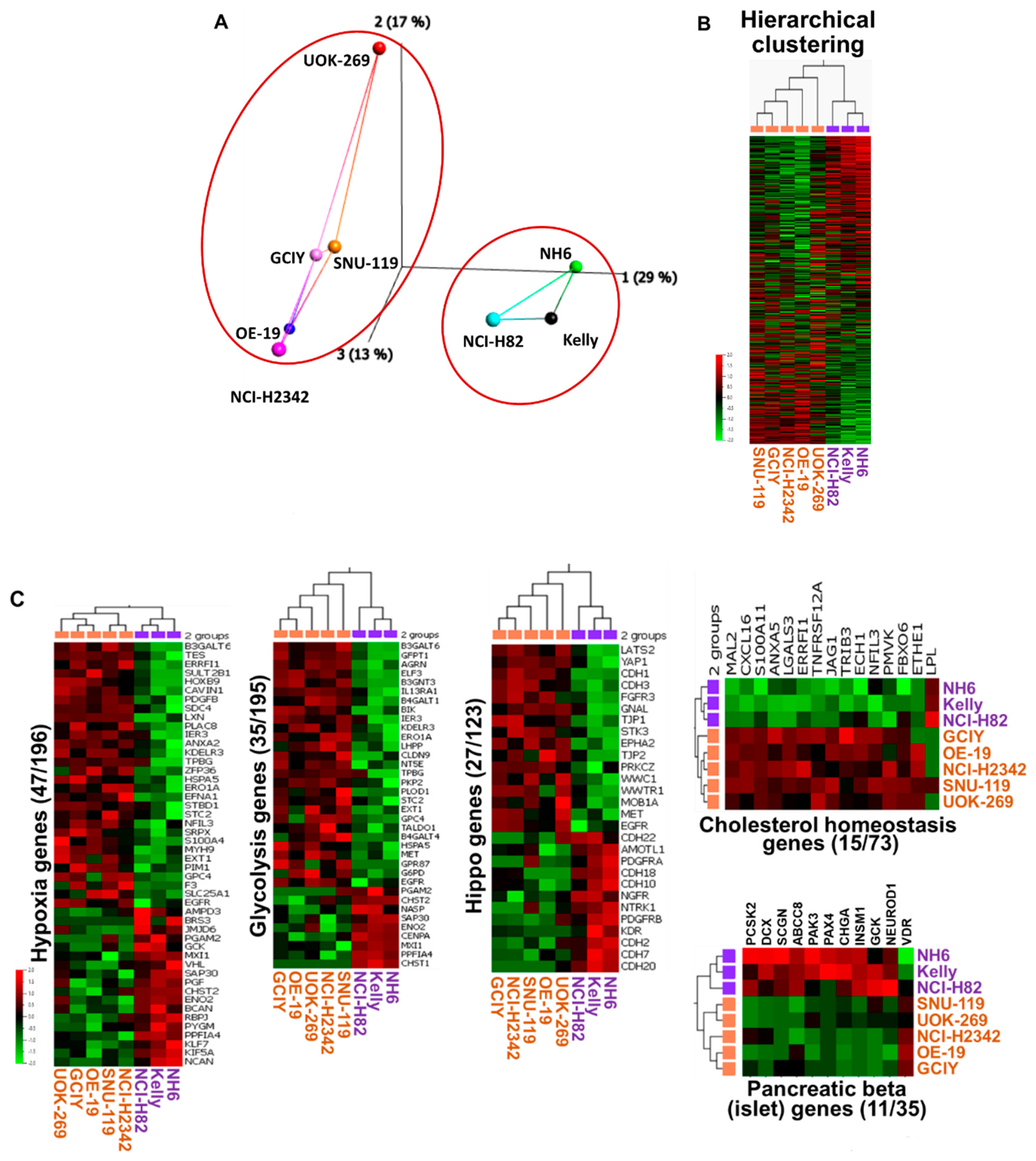 Cancers 15 04960 g003