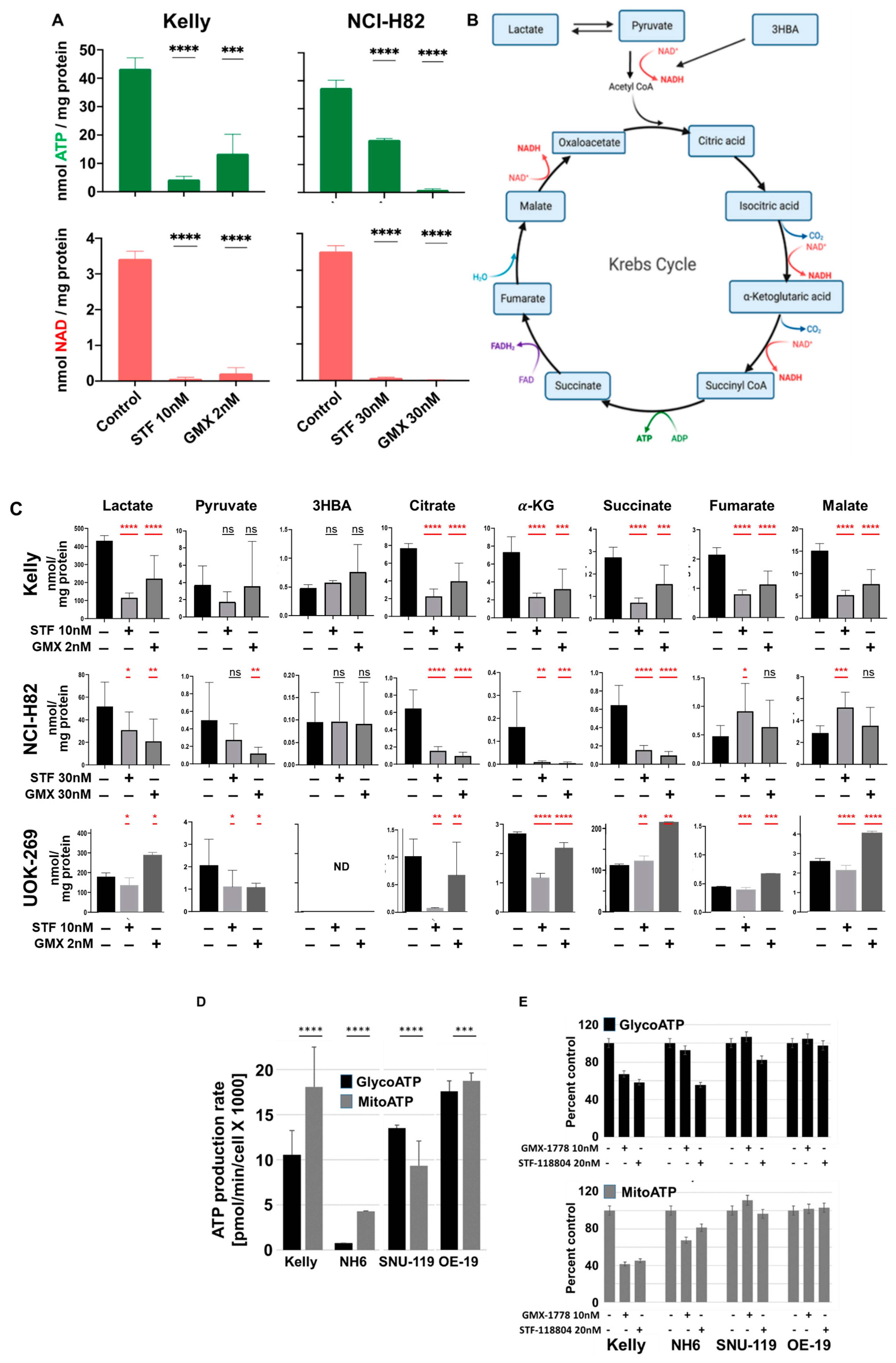 Cancers 15 04960 g004