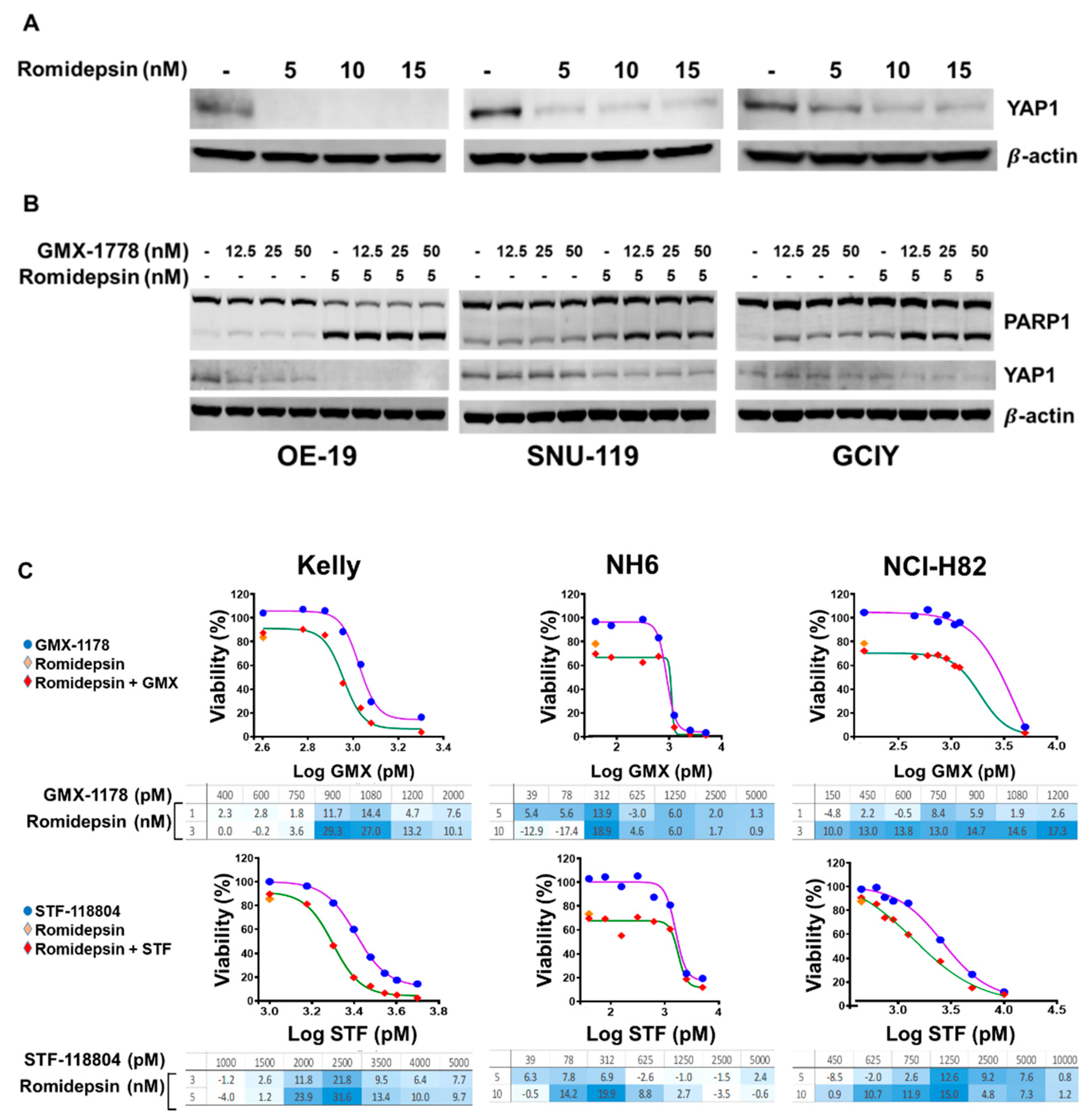 Cancers 15 04960 g006