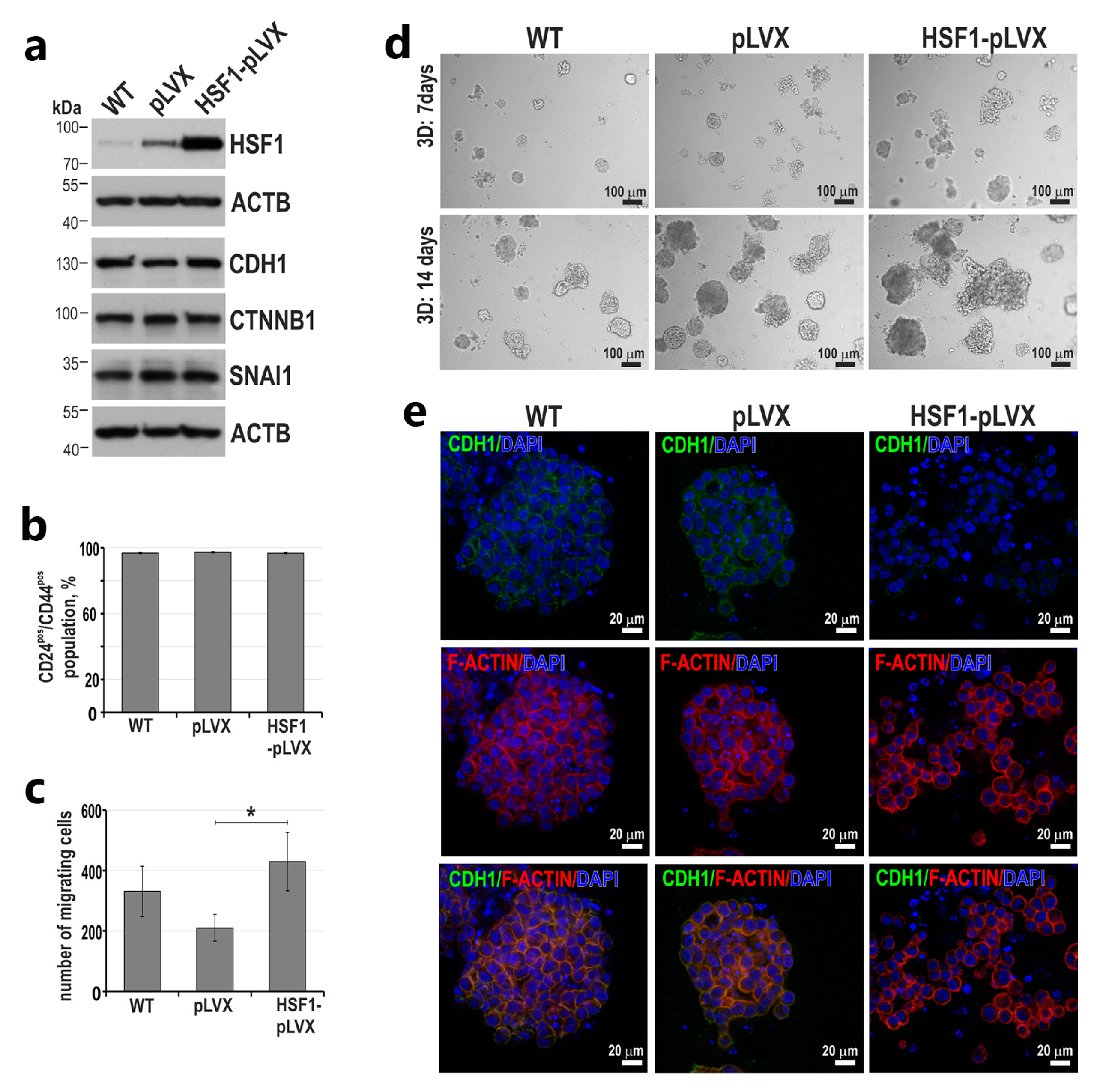 Cancers 15 04965 g006