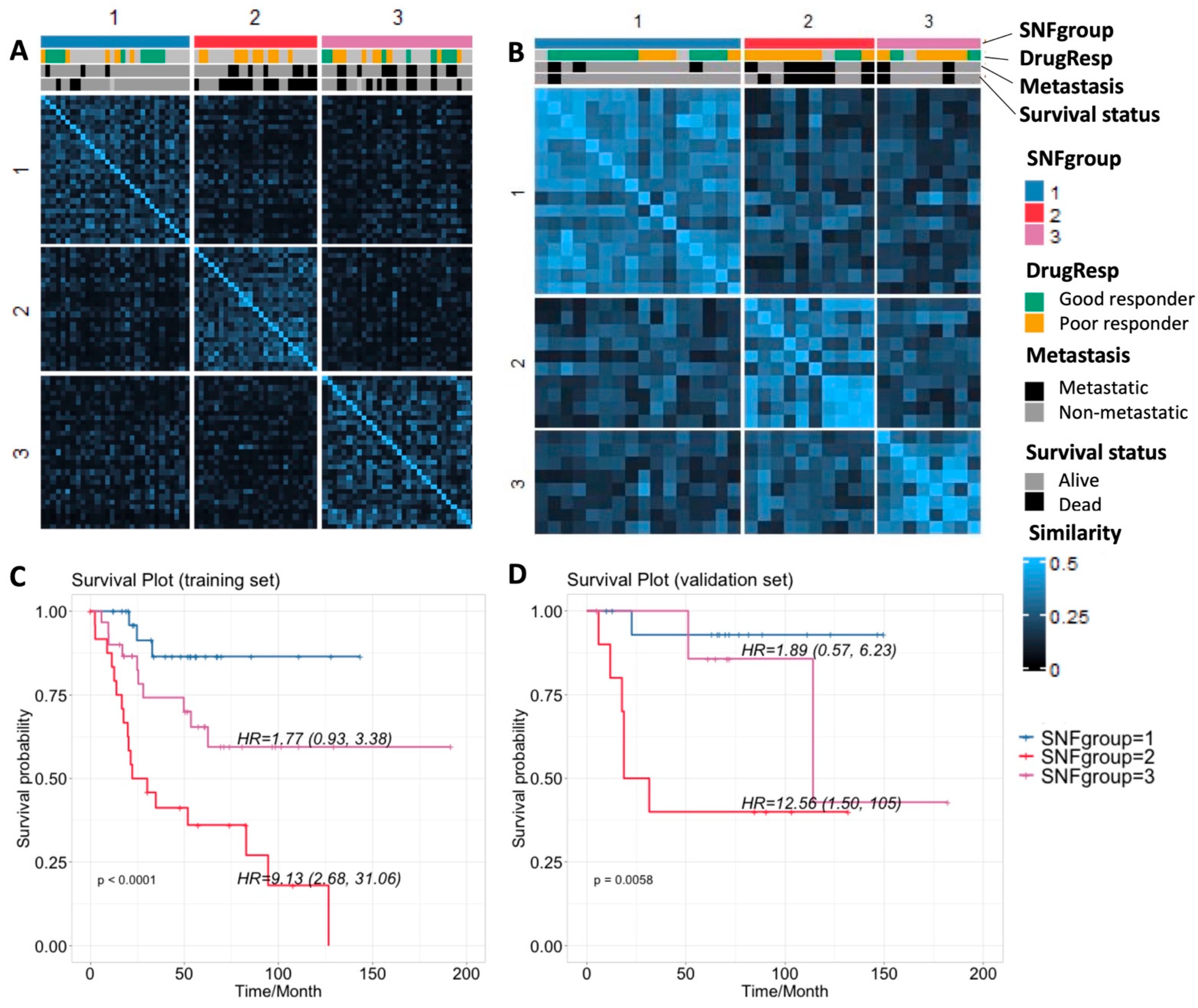 Cancers 15 04970 g001 Cancers 15 04970 g001