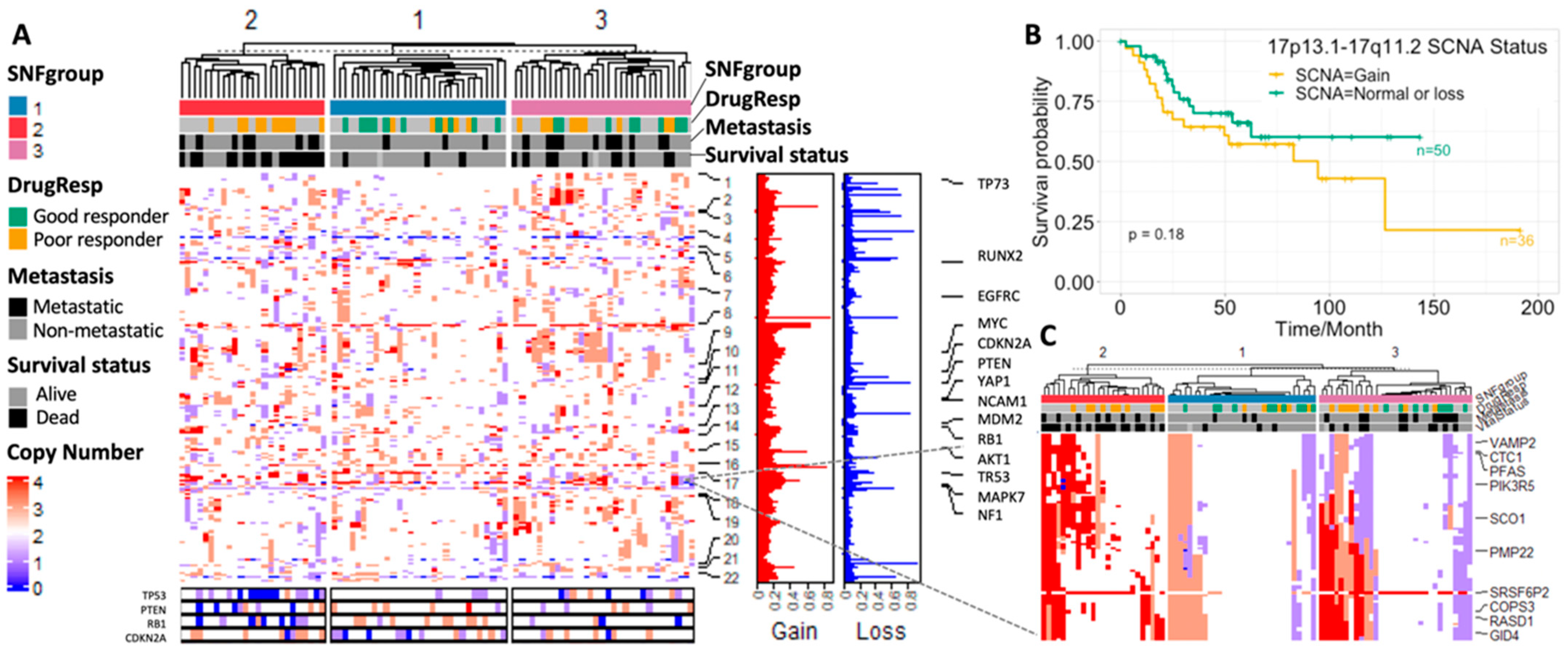 Cancers 15 04970 g003 Cancers 15 04970 g003