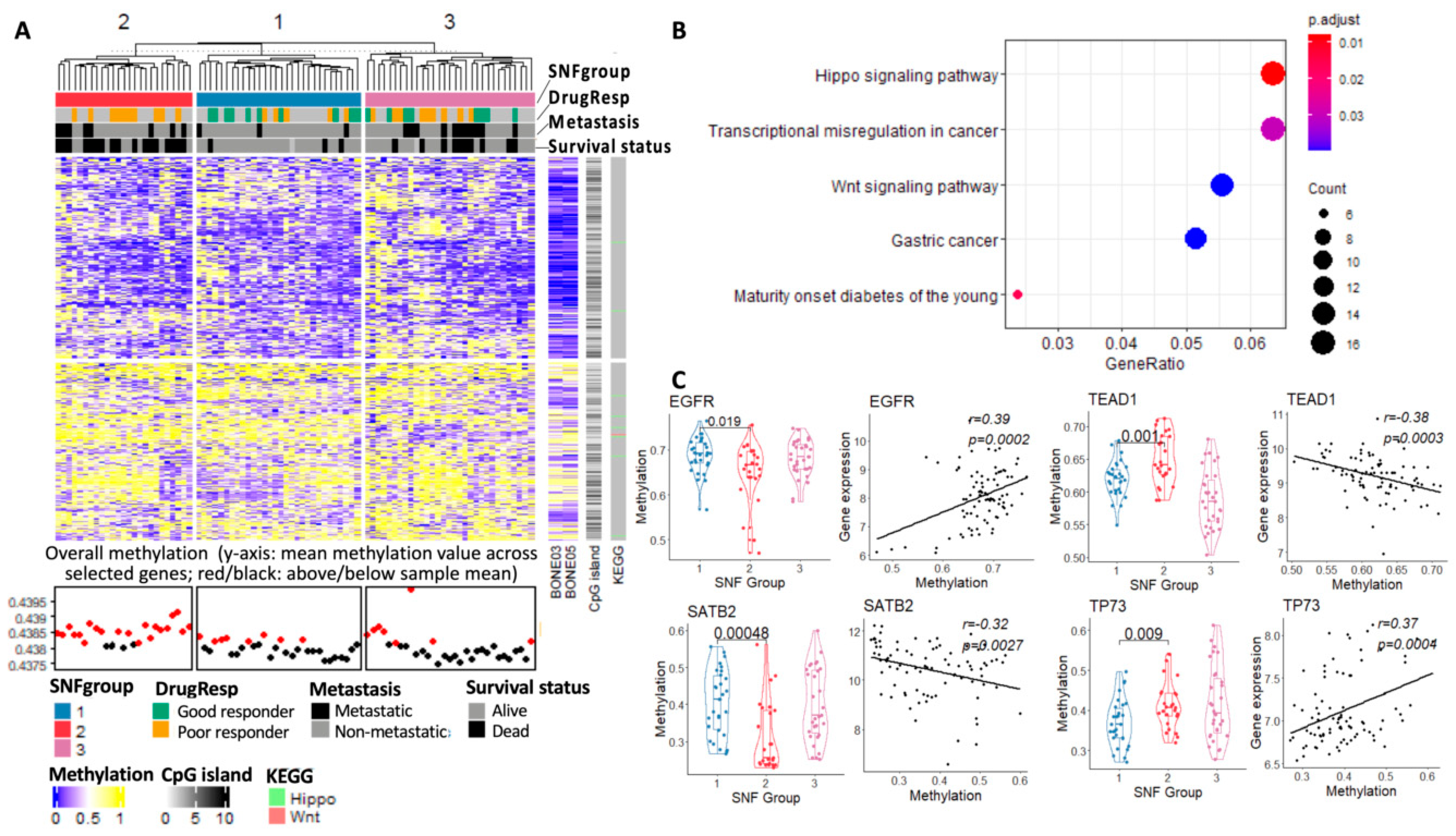 Cancers 15 04970 g006 Cancers 15 04970 g006