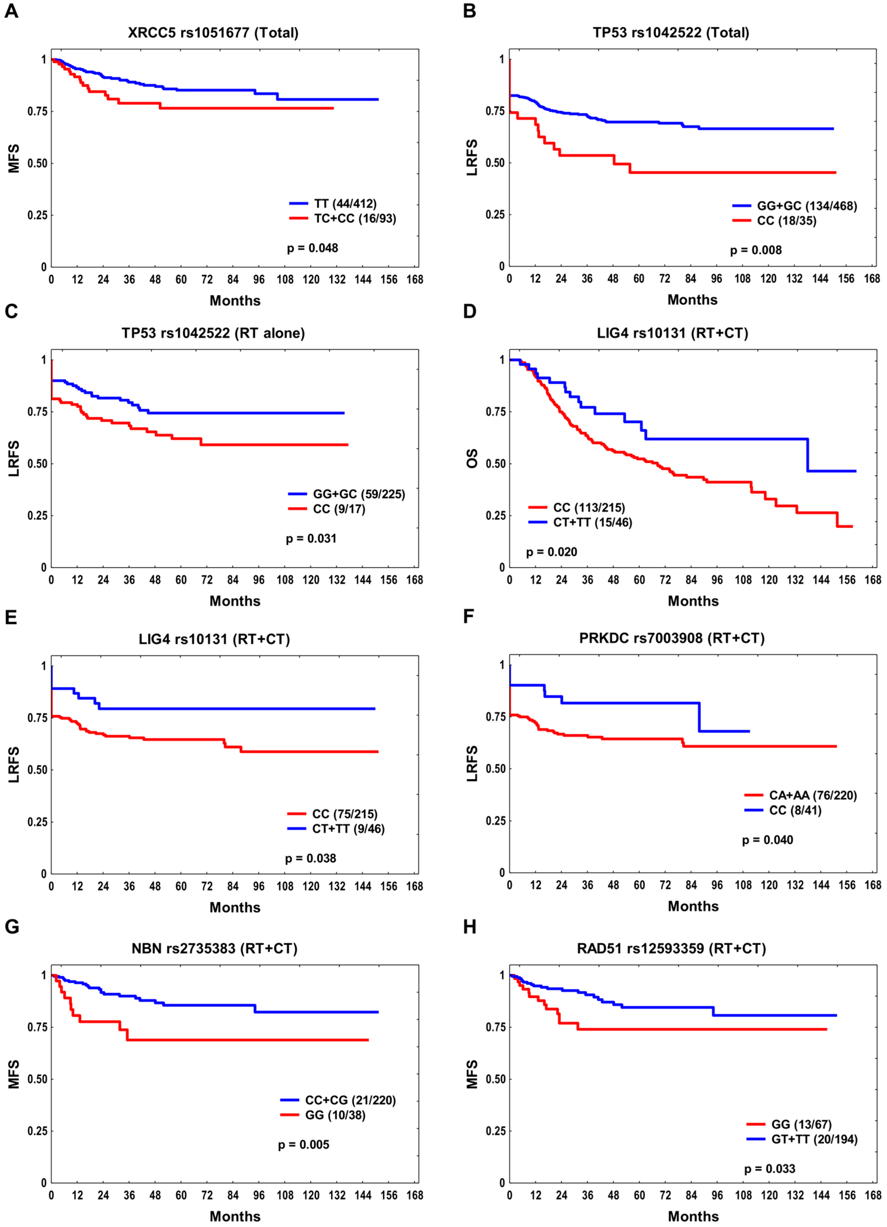 Cancers 15 04972 g001 Cancers 15 04972 g001