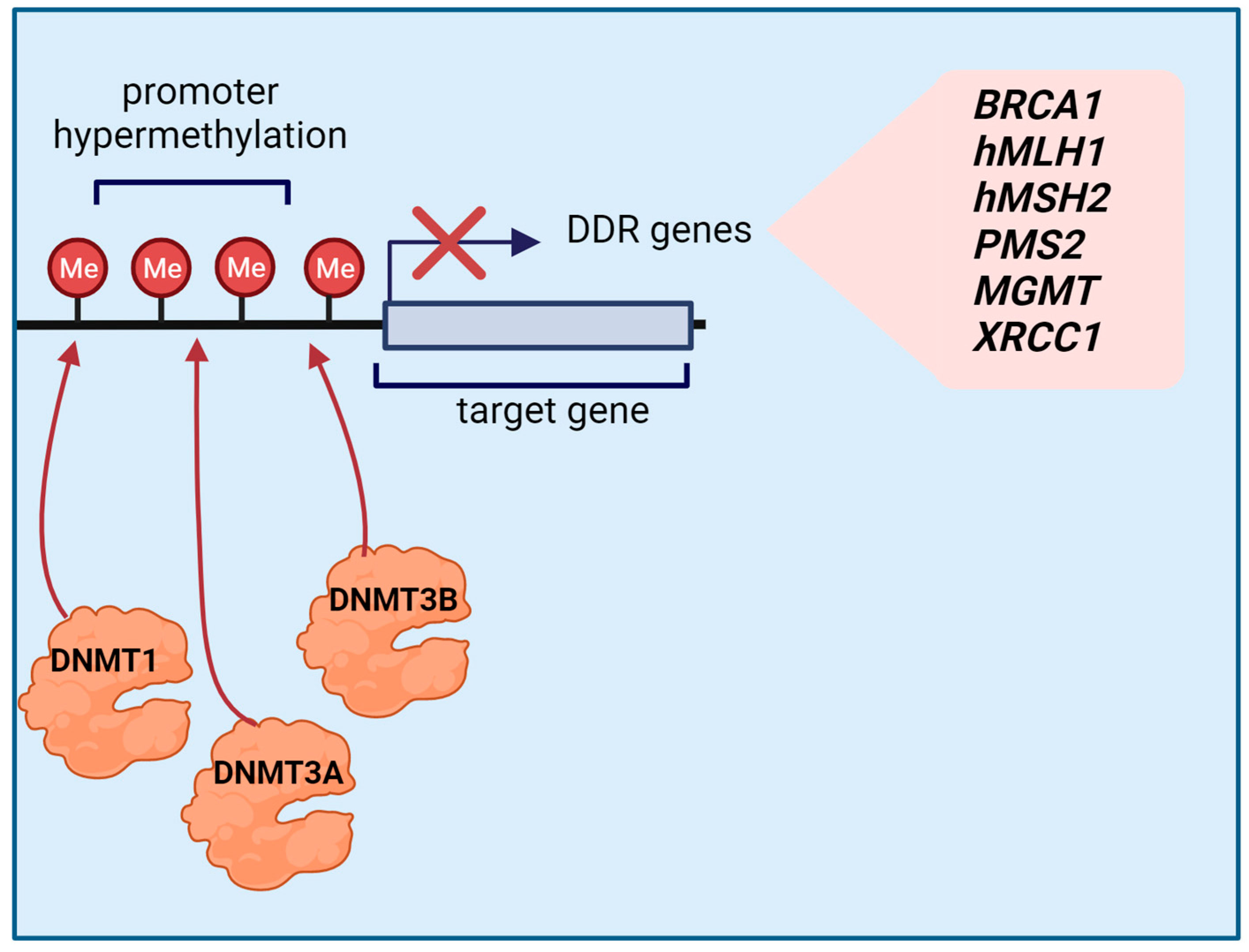 Cancers 15 04976 g002 Cancers 15 04976 g002