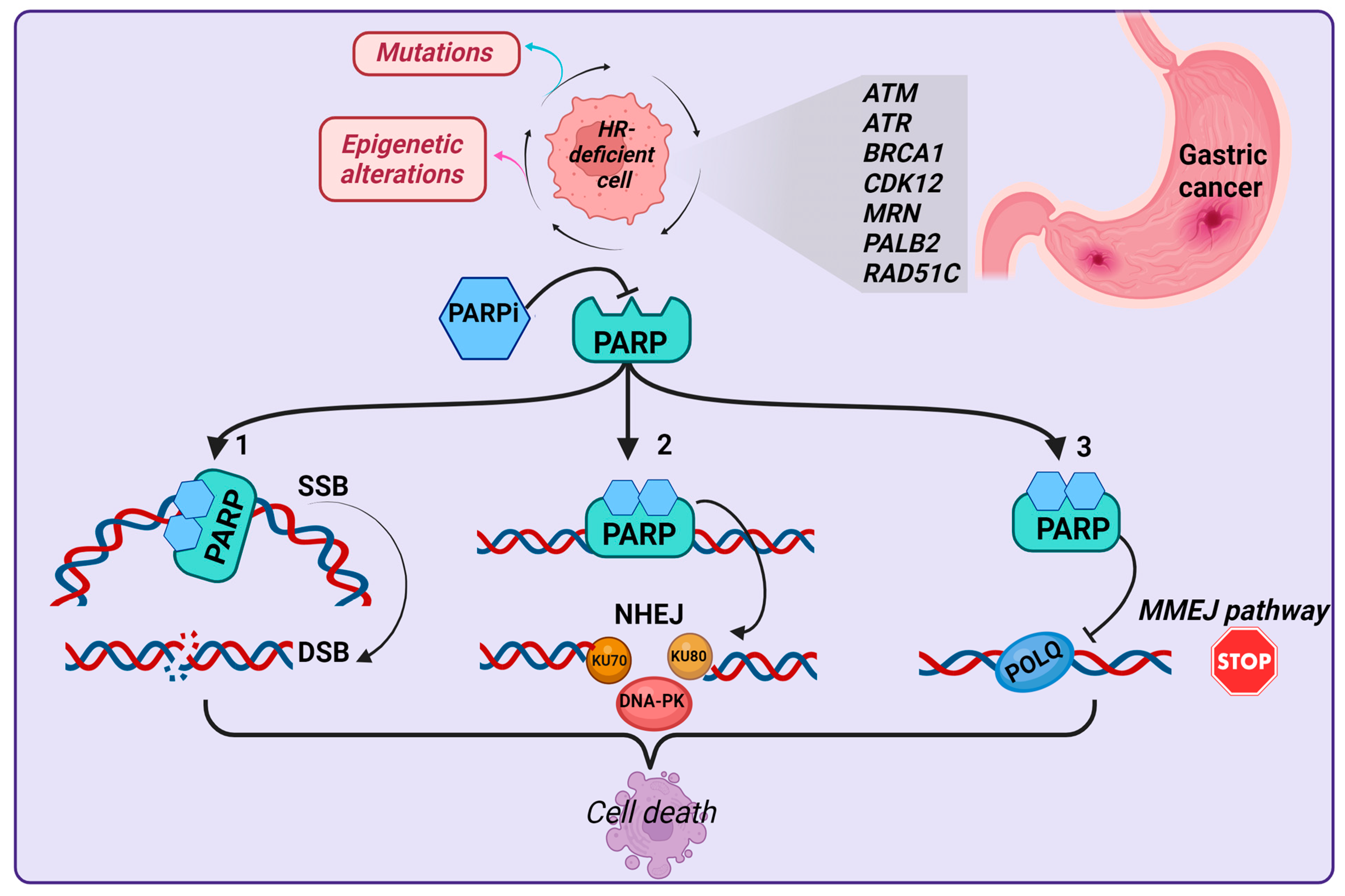 Cancers 15 04976 g003 Cancers 15 04976 g003