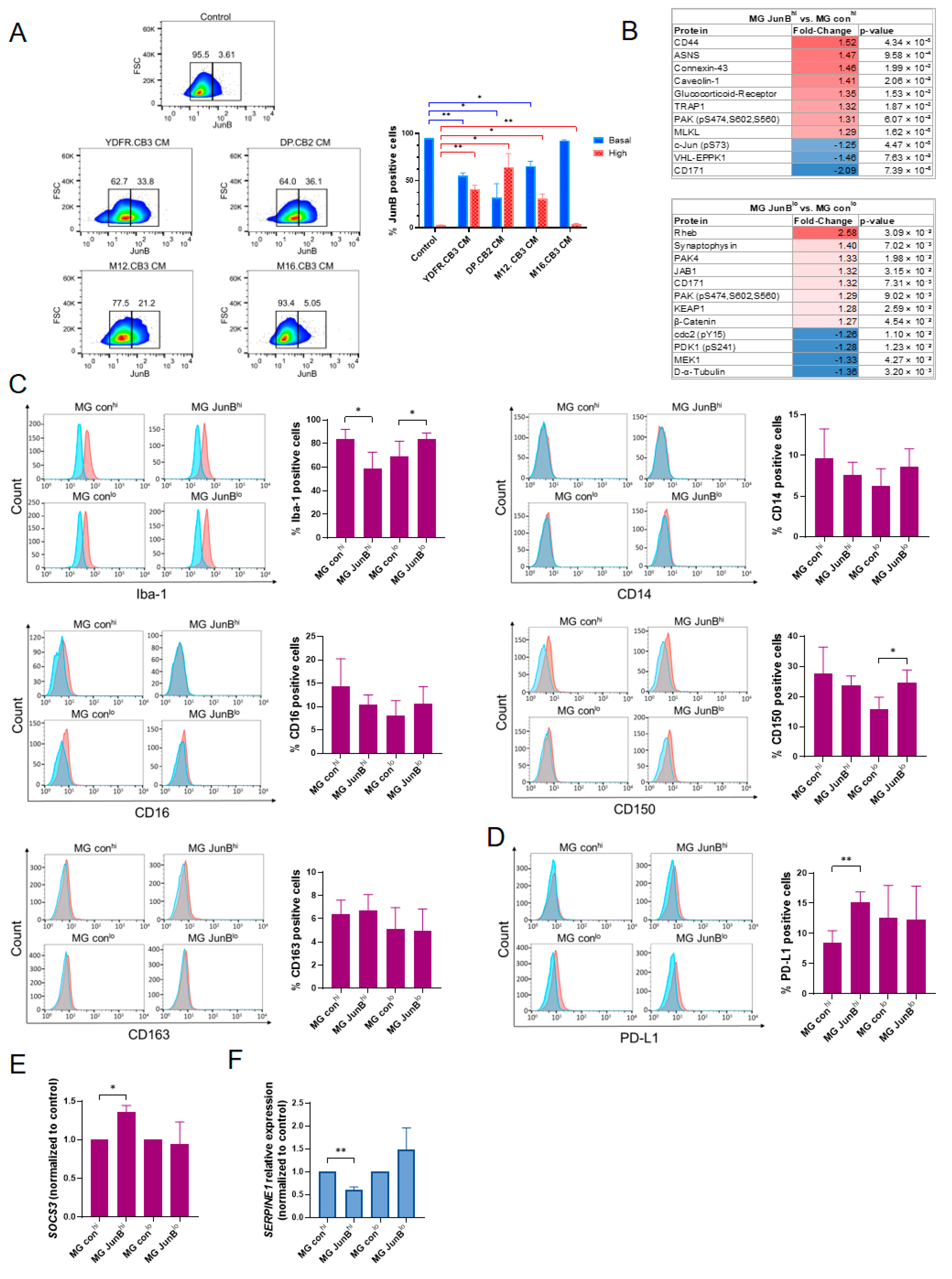 Cancers 15 04979 g003