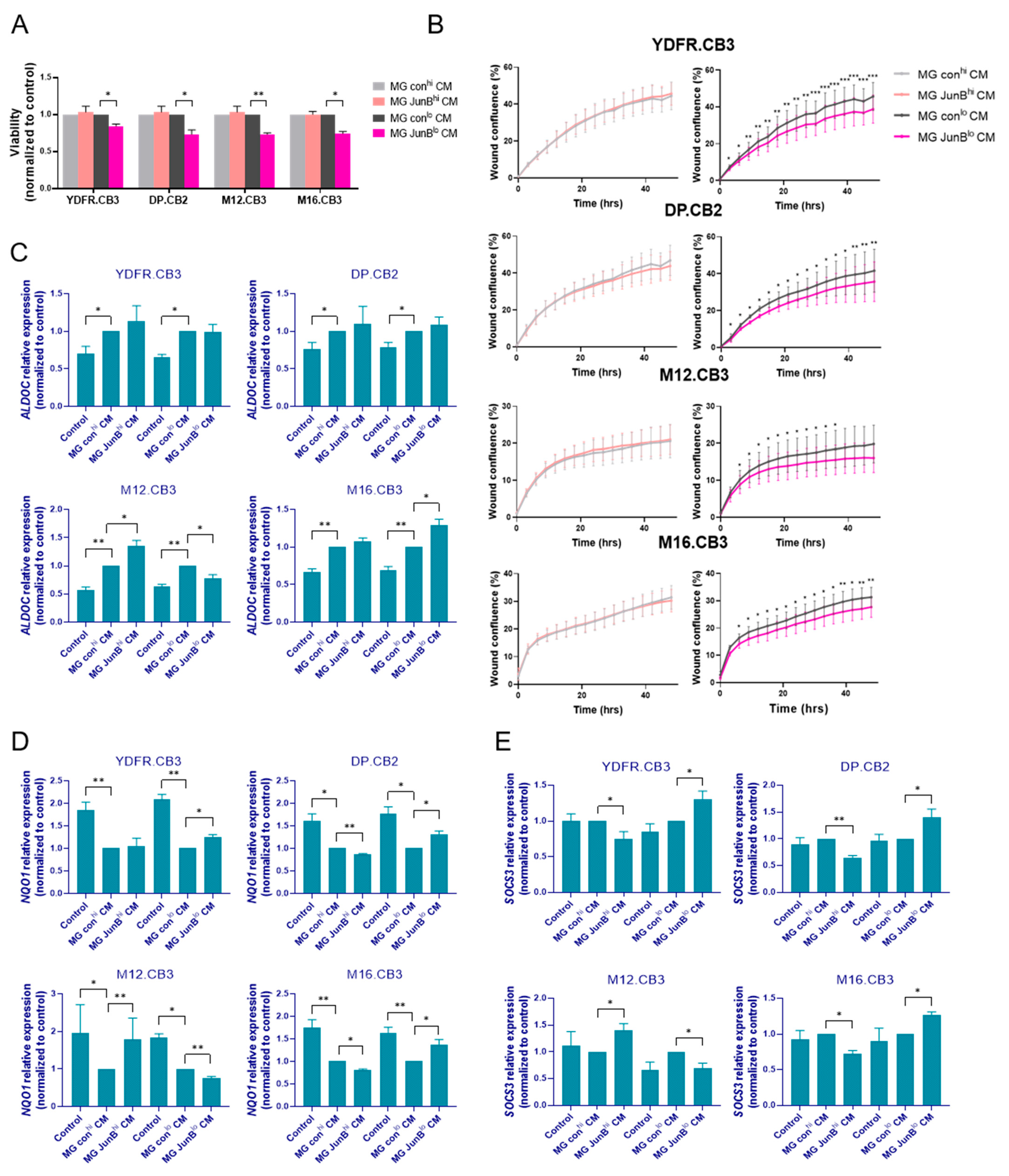 Cancers 15 04979 g005a
