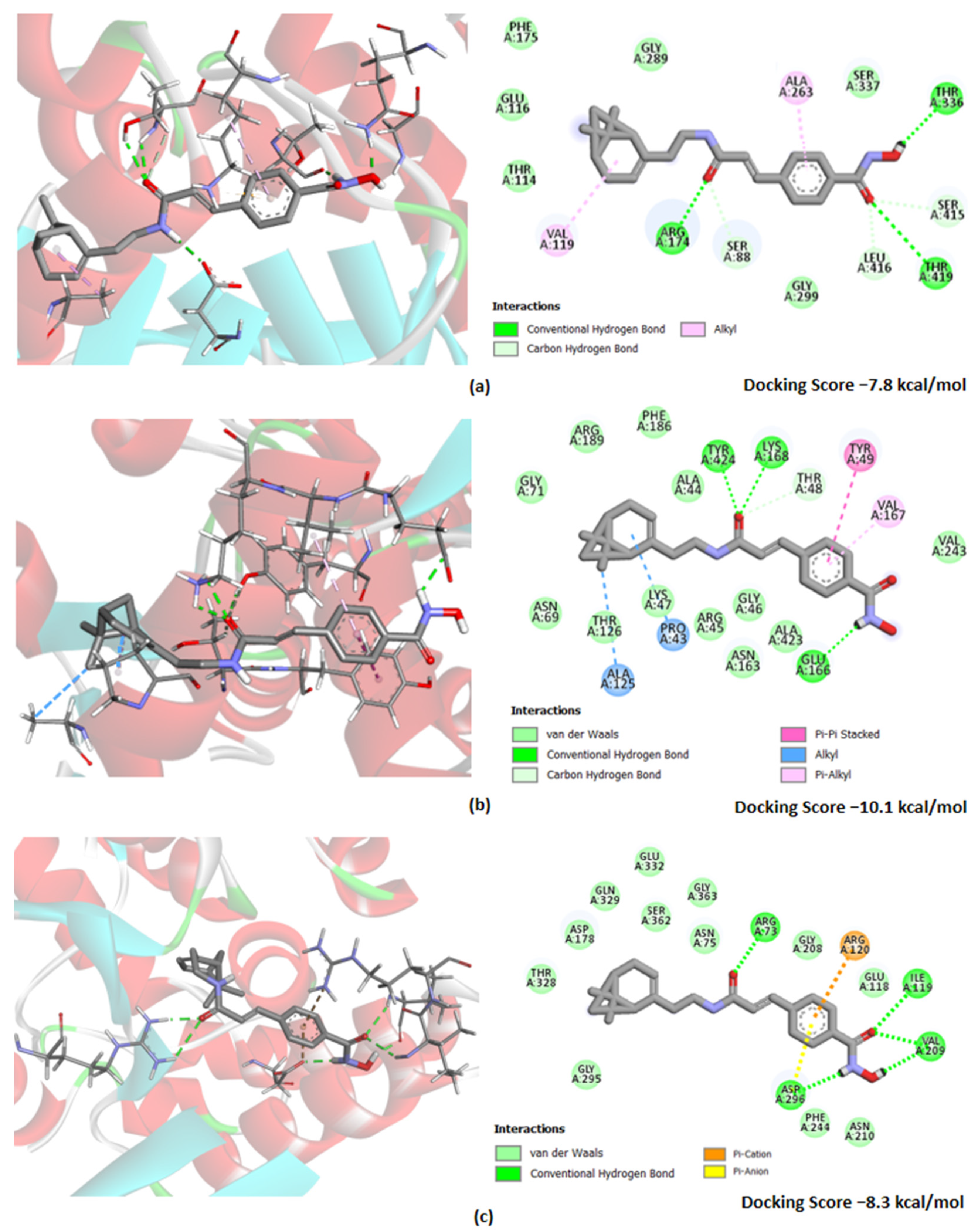Cancers 15 04985 g004