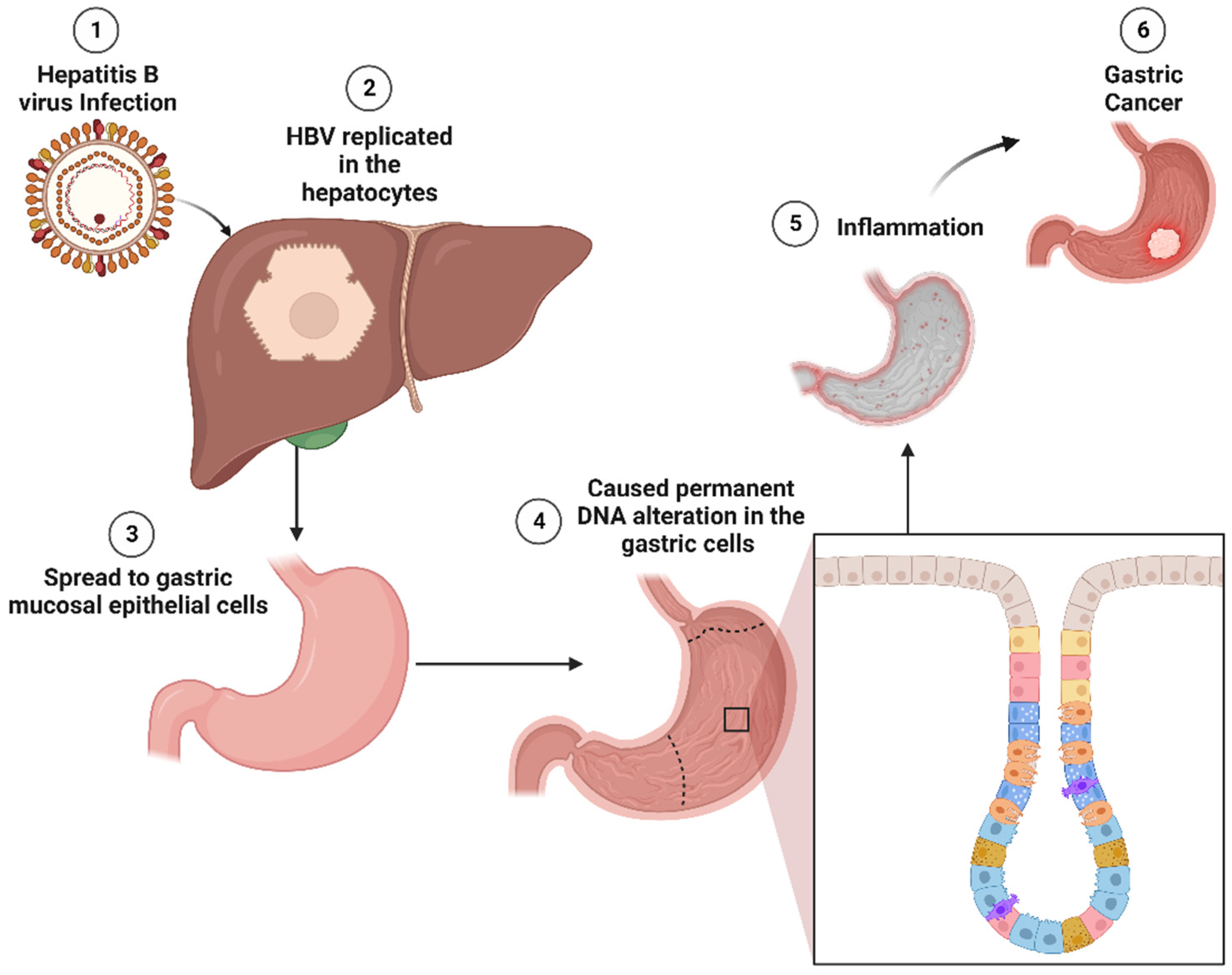 Cancers 15 04993 g002