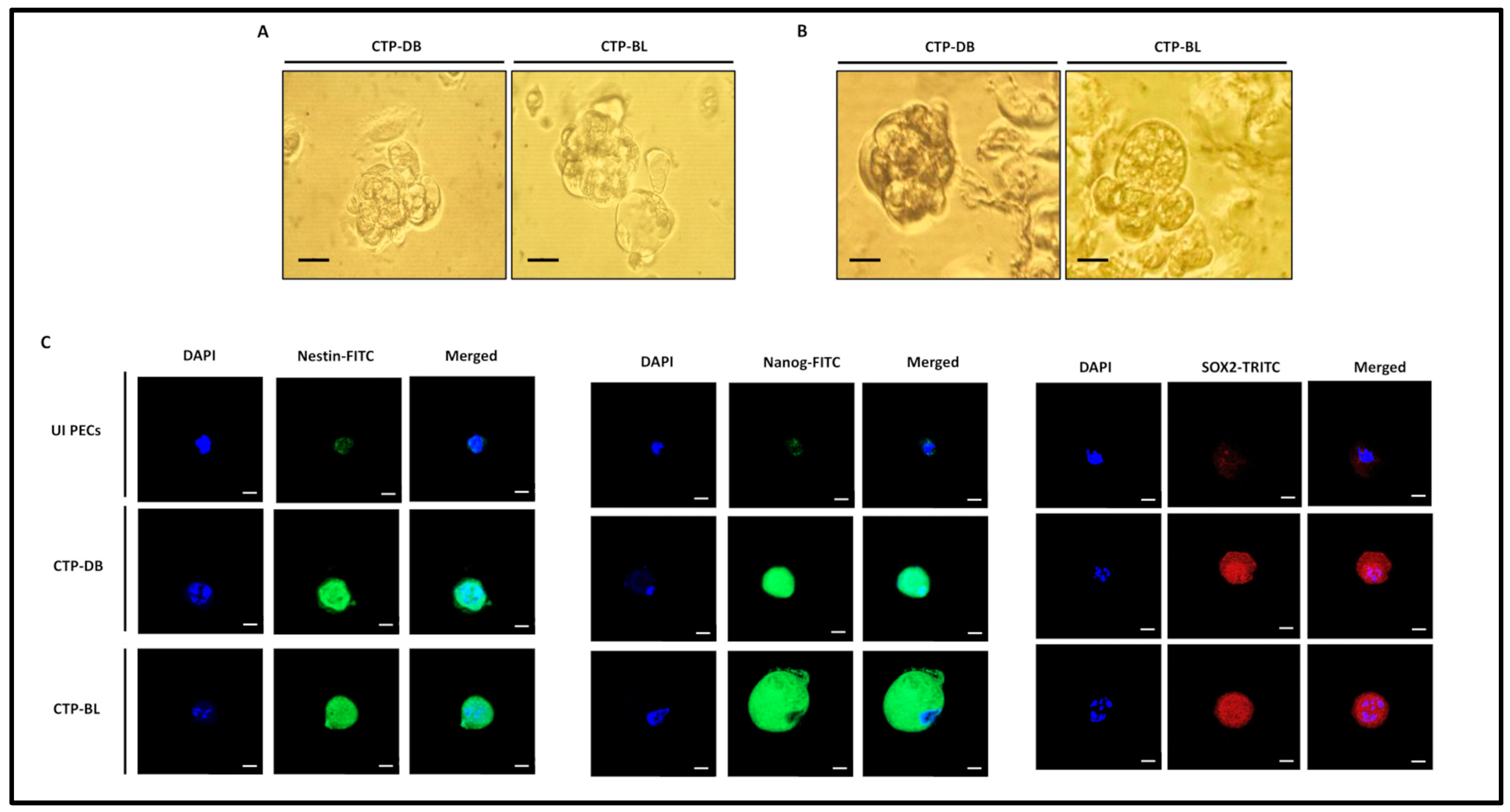 Cancers 15 04994 g005 Cancers 15 04994 g005