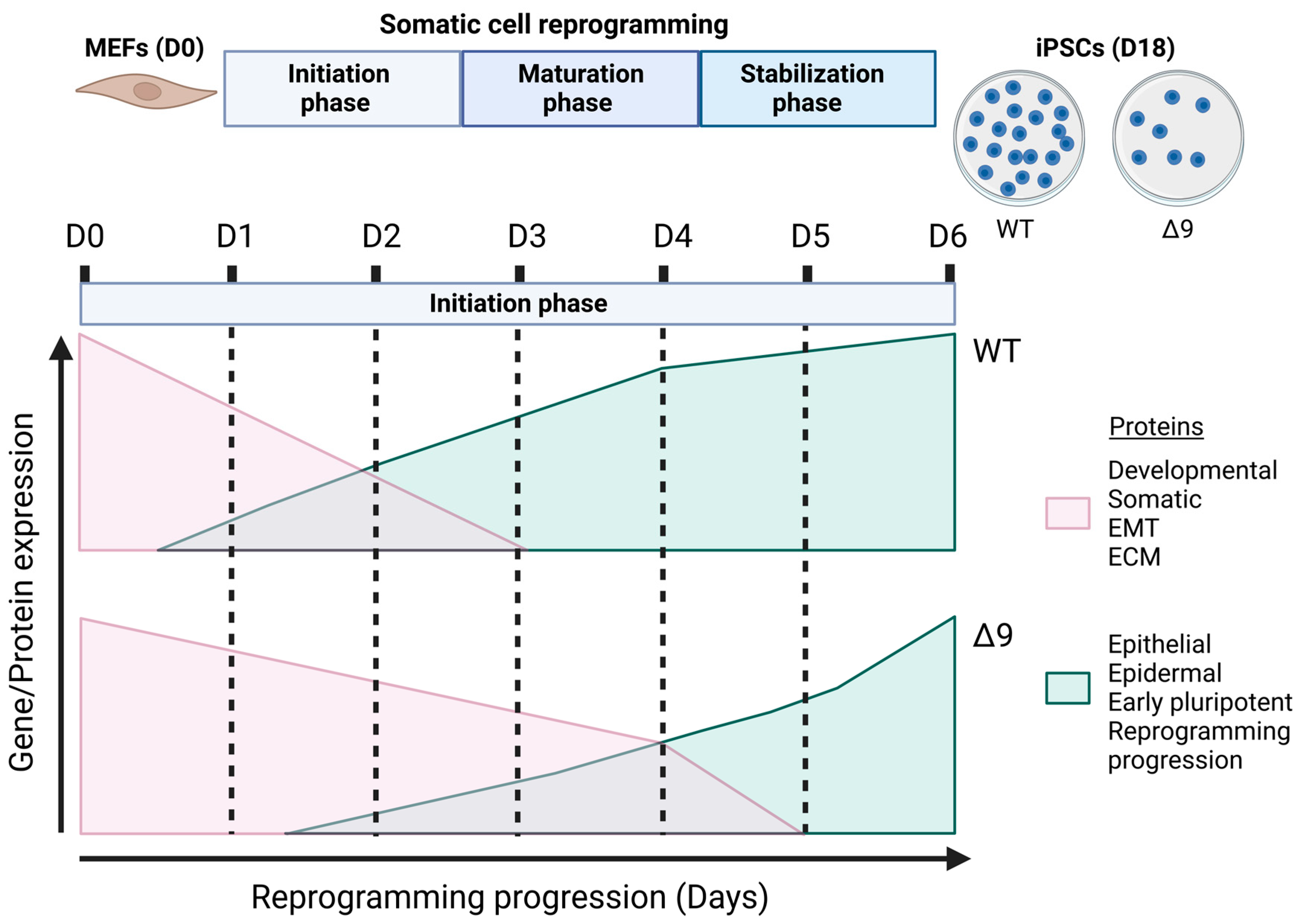 Cancers 15 04997 g008