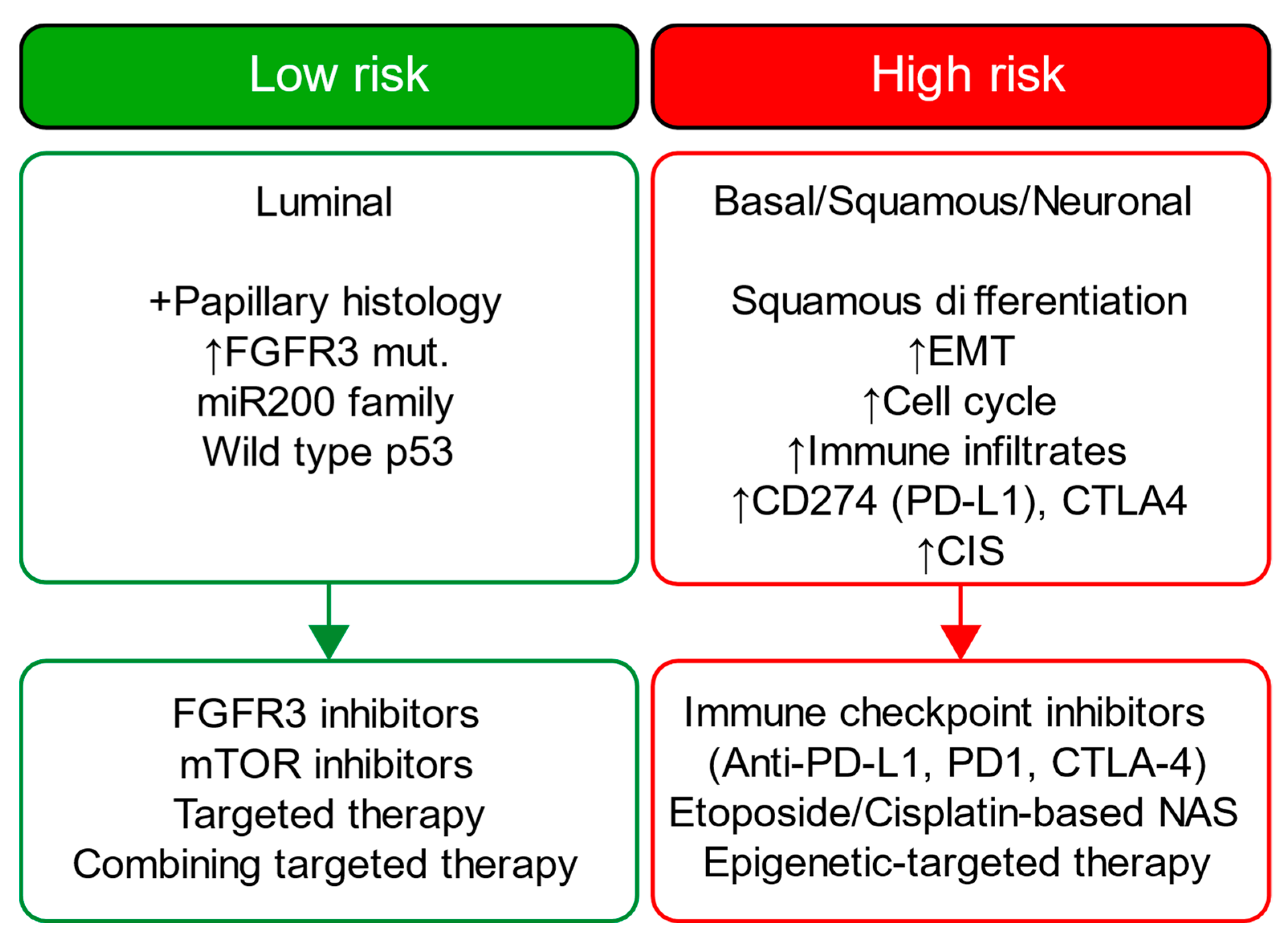 Cancers 15 04998 g009