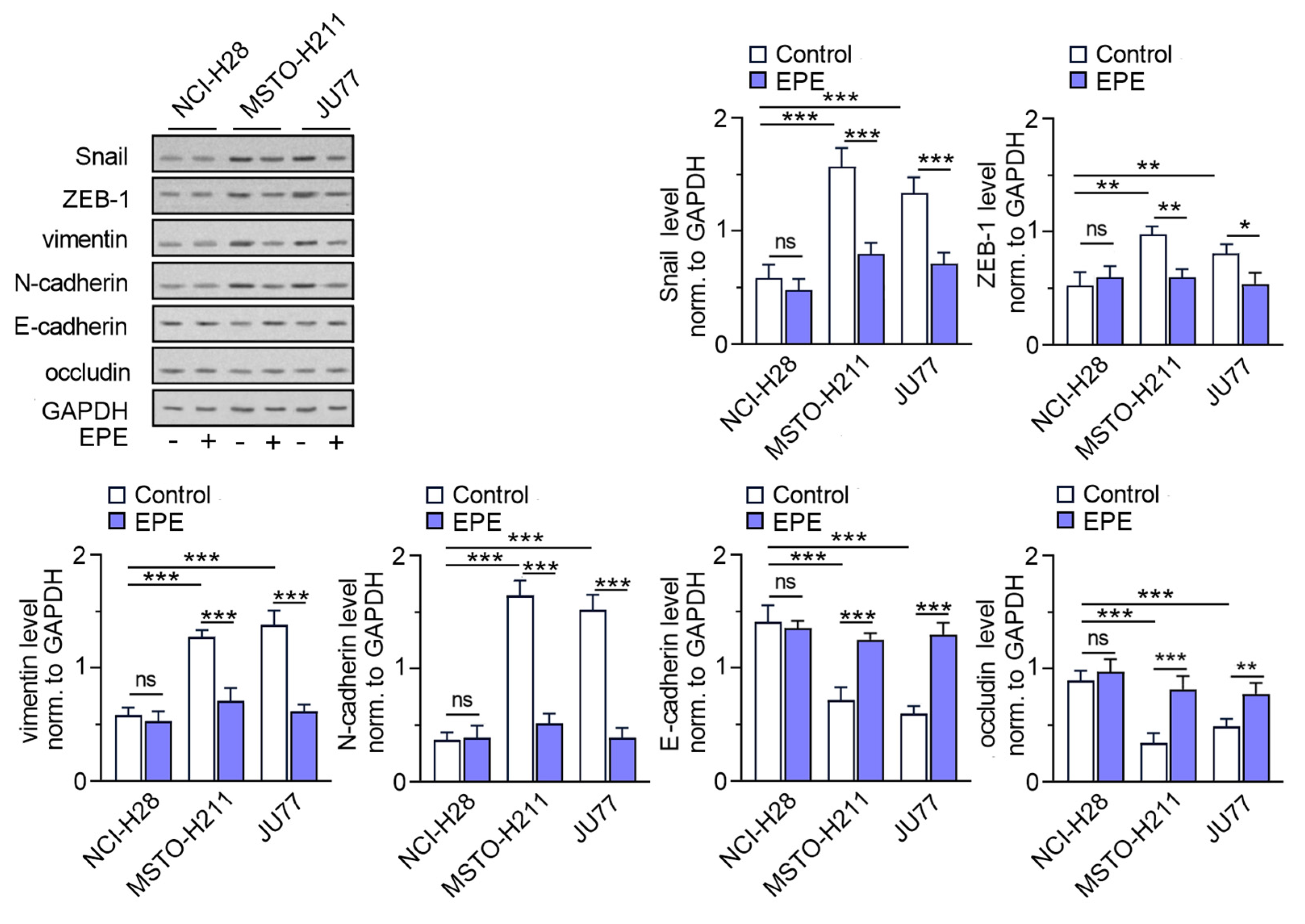 Cancers 15 05003 g003 Cancers 15 05003 g003