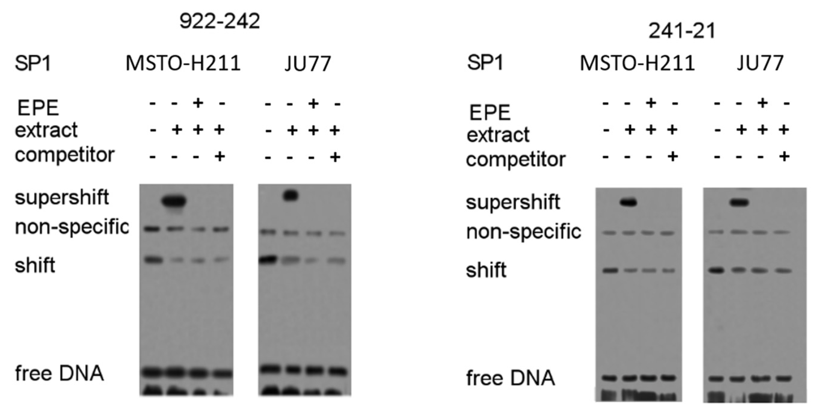 Cancers 15 05003 g008 Cancers 15 05003 g008