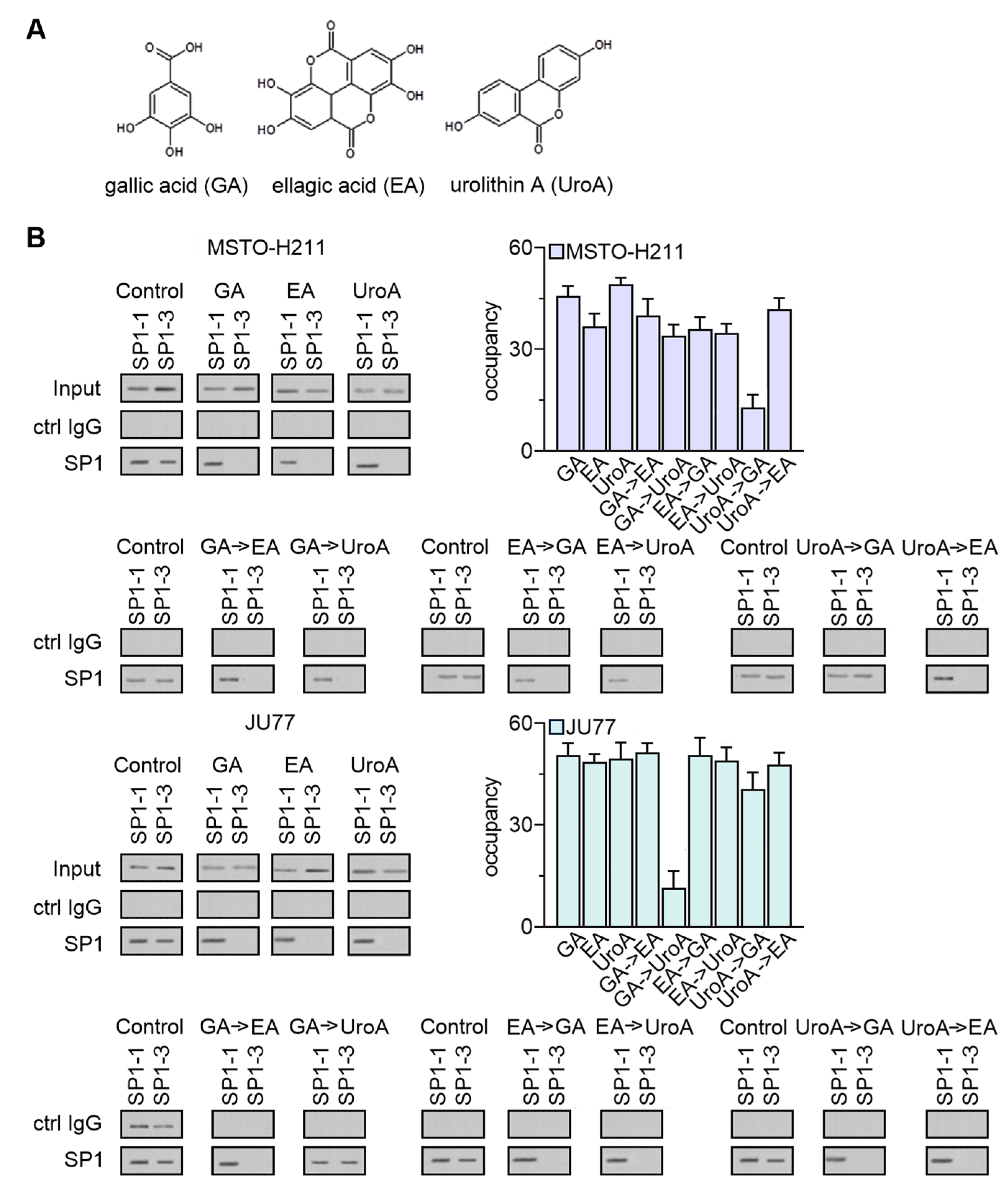Cancers 15 05003 g009 Cancers 15 05003 g009