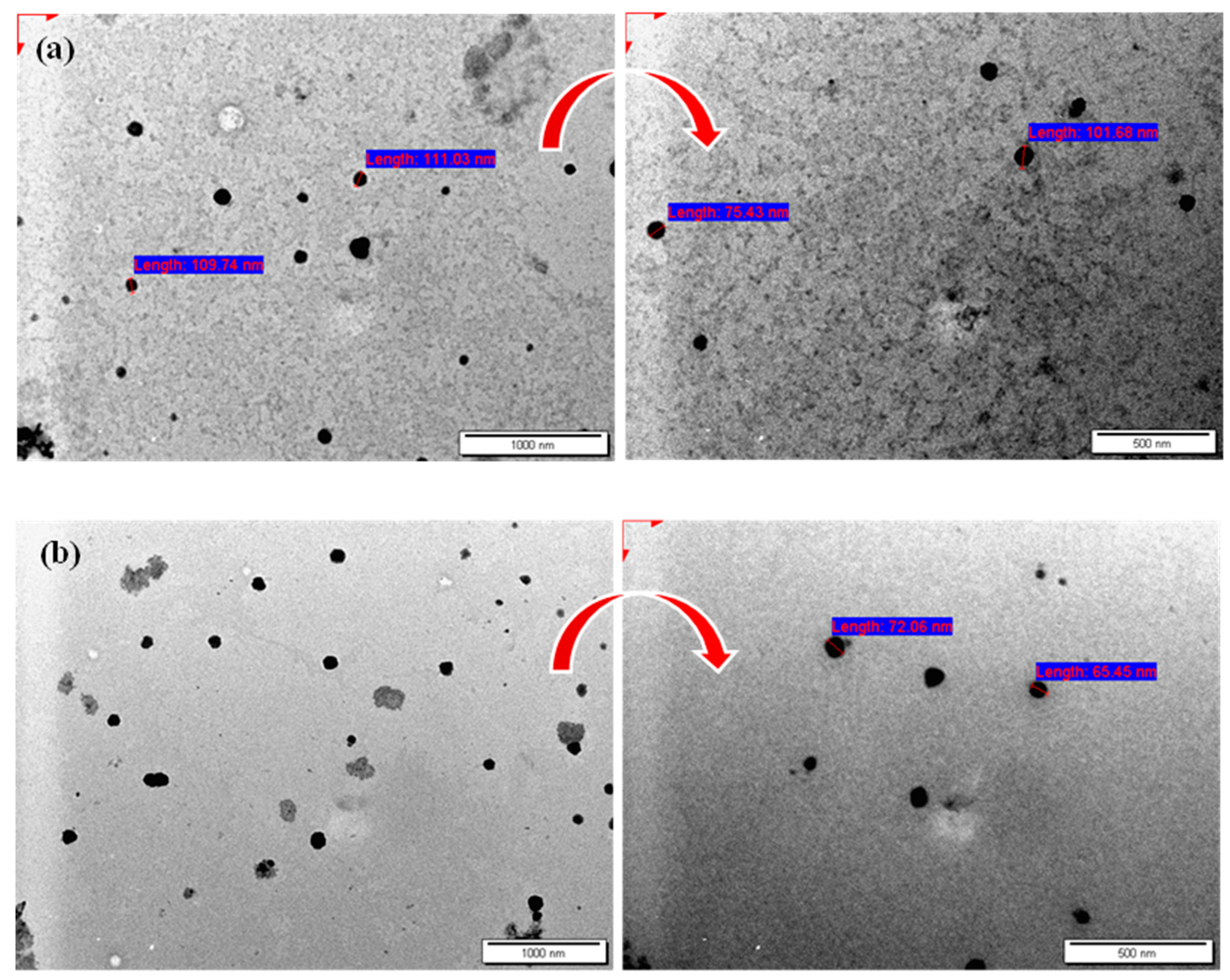 Cancers 15 05004 g002