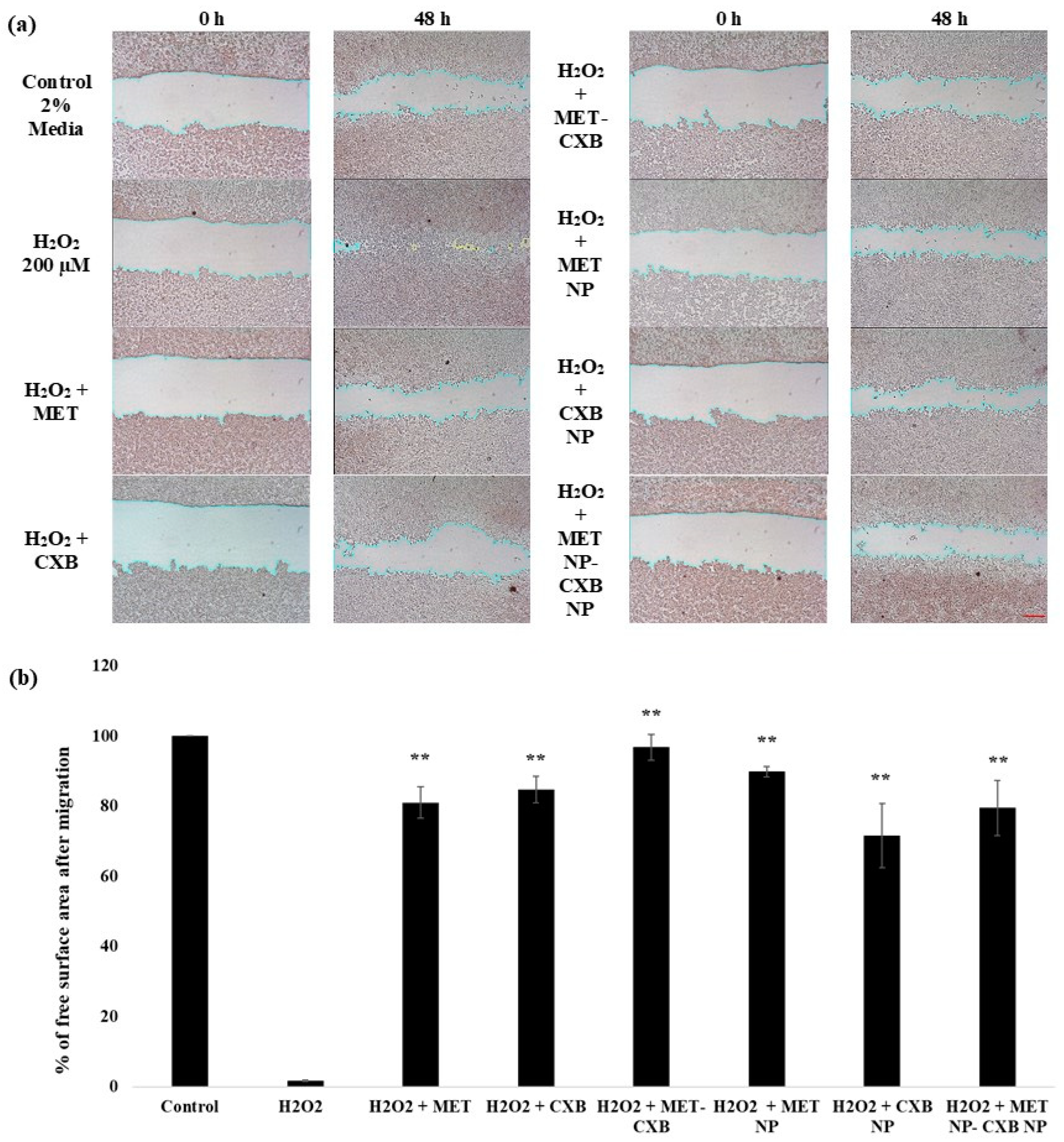 Cancers 15 05004 g012