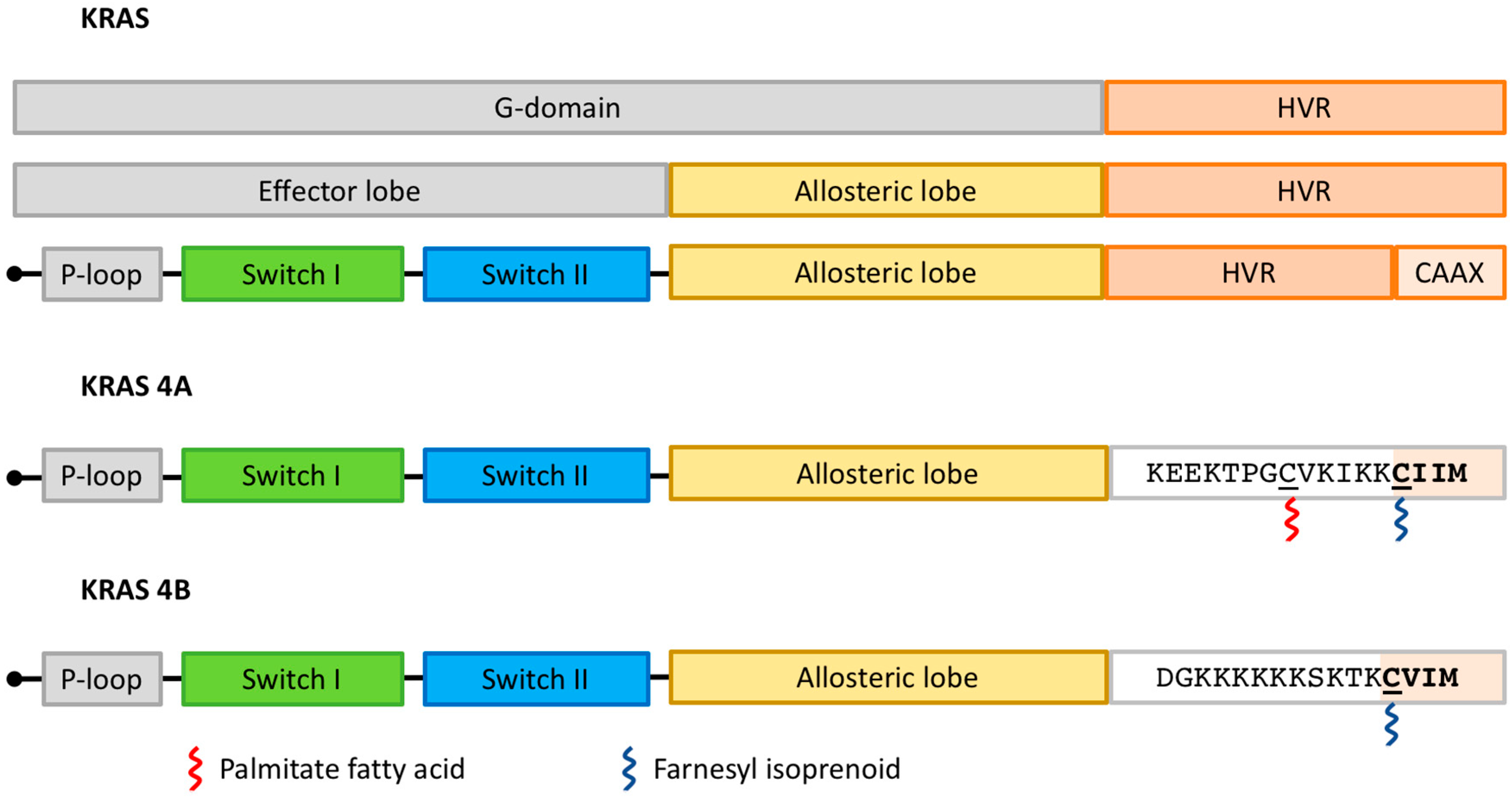 Cancers 15 05015 g002
