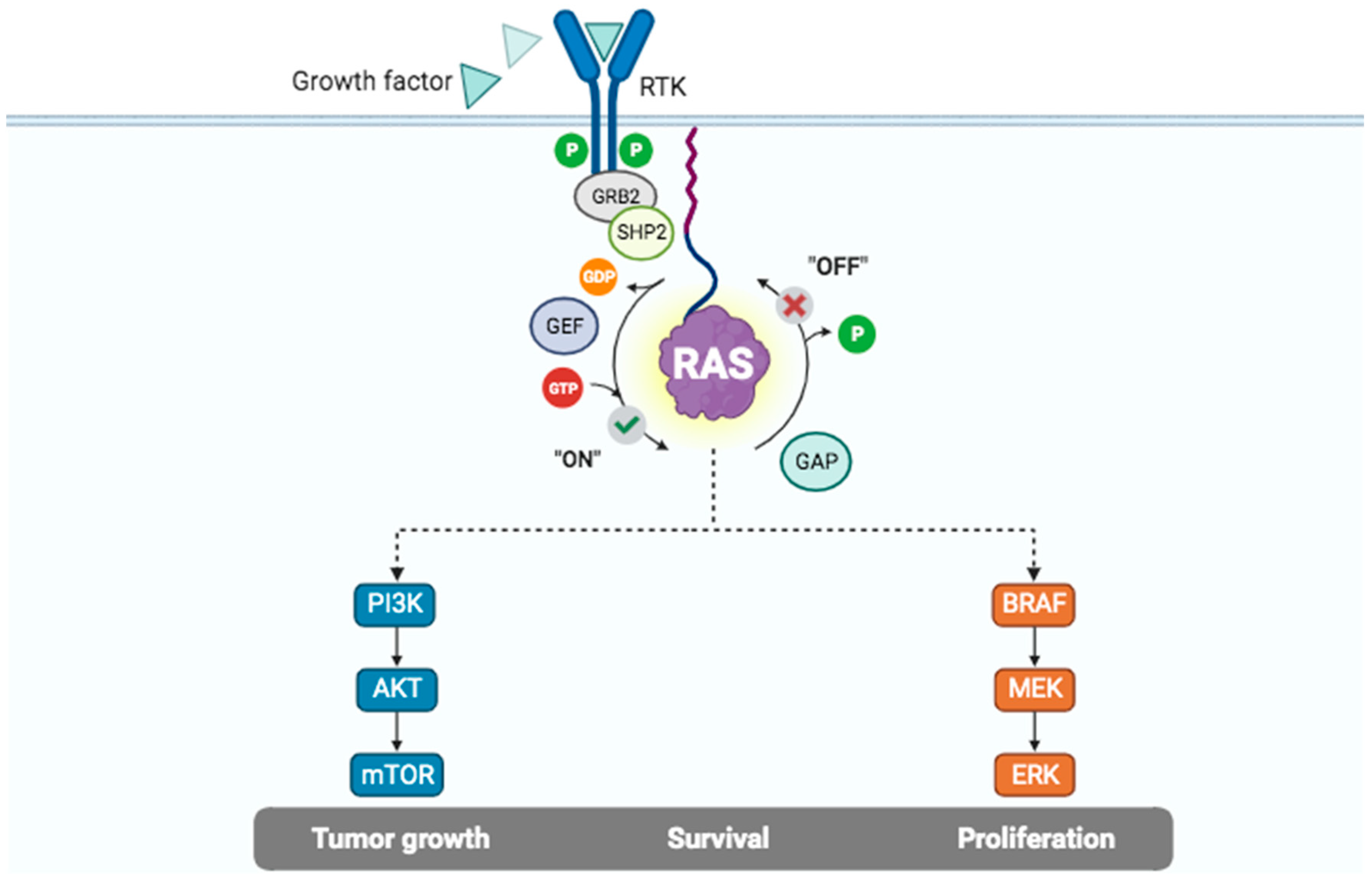Cancers 15 05015 g003