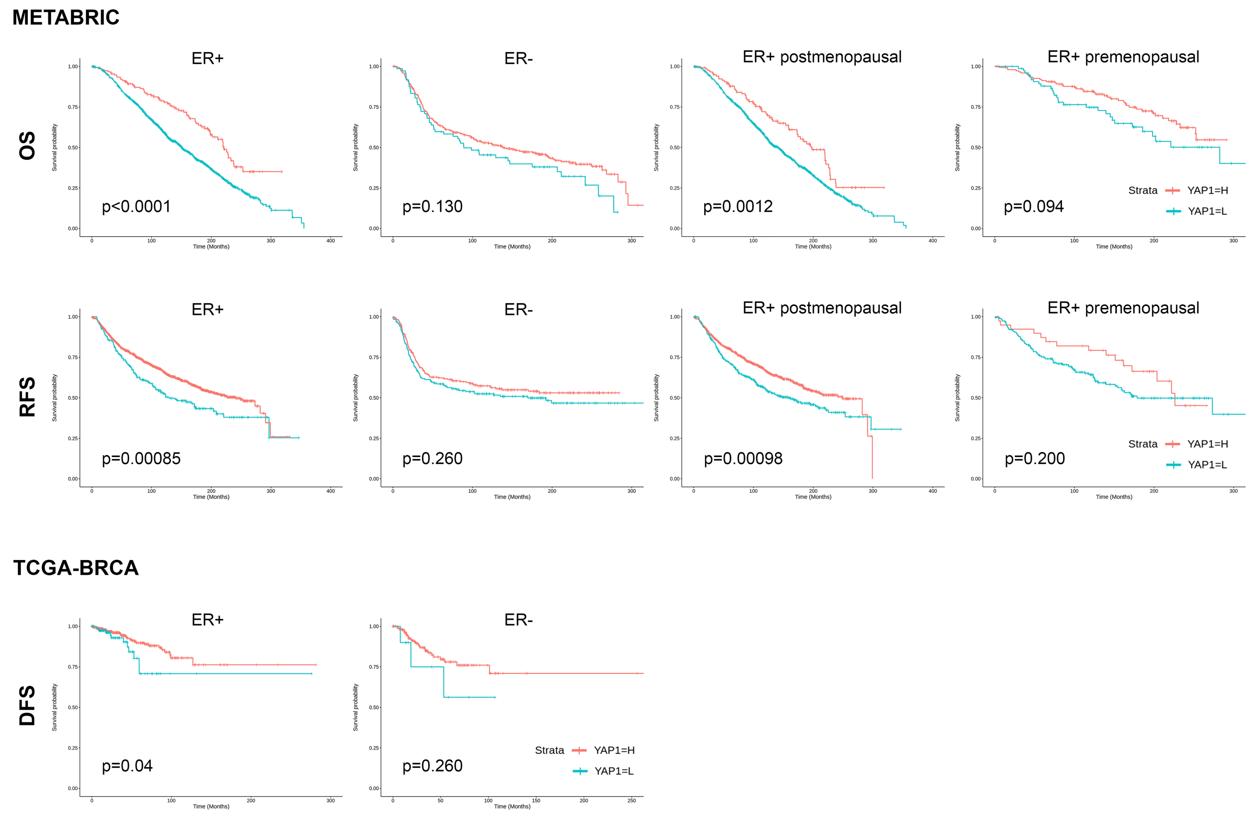 Cancers 15 05034 g002