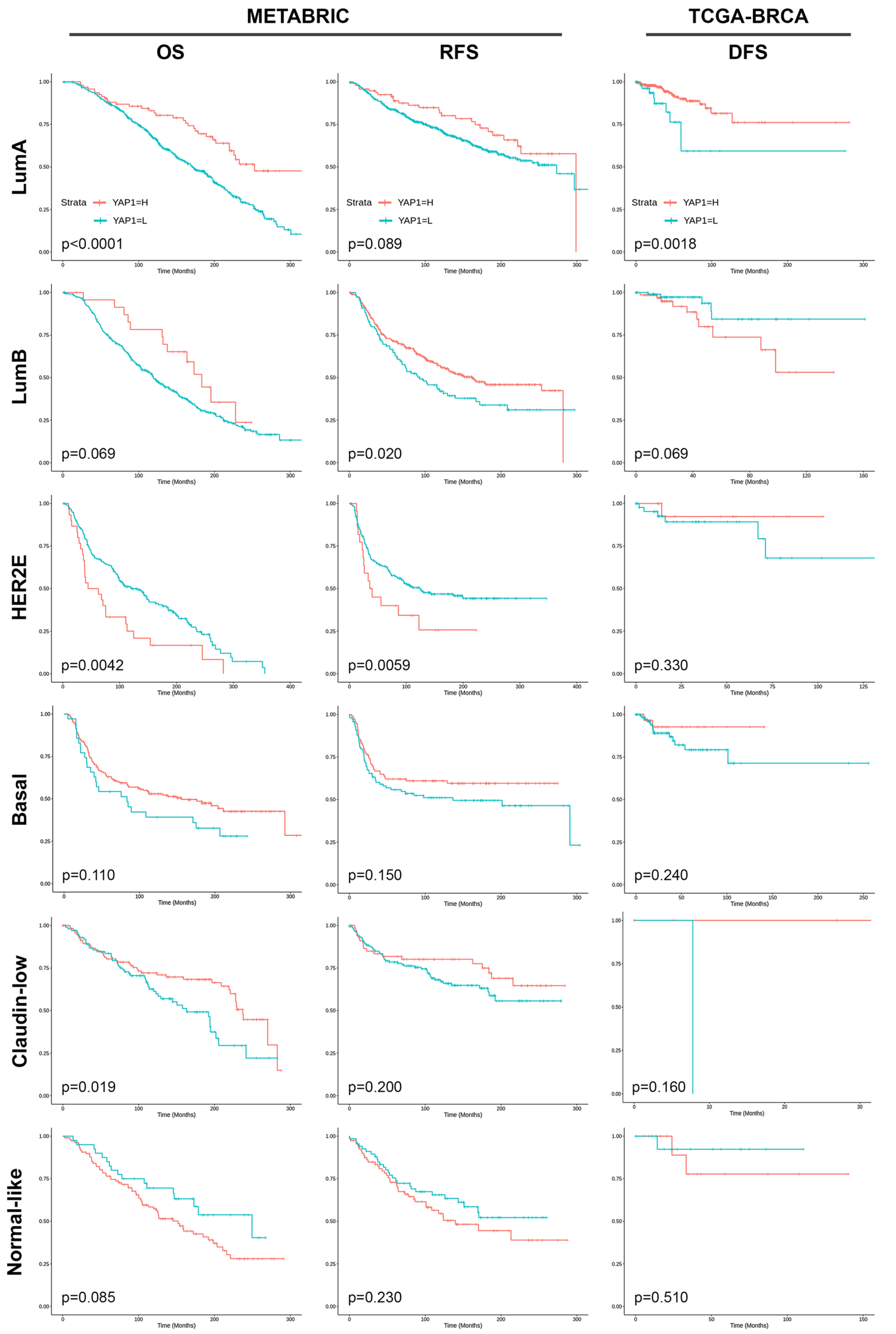 Cancers 15 05034 g003