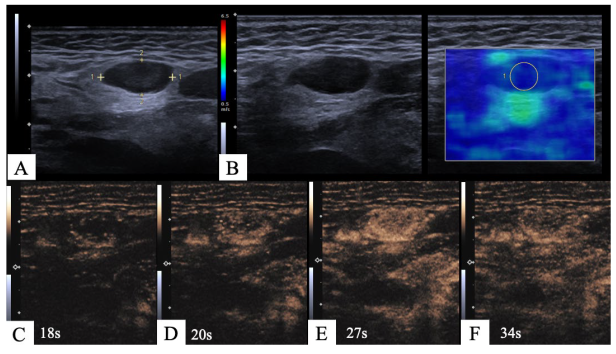 Cancers 15 05035 g002