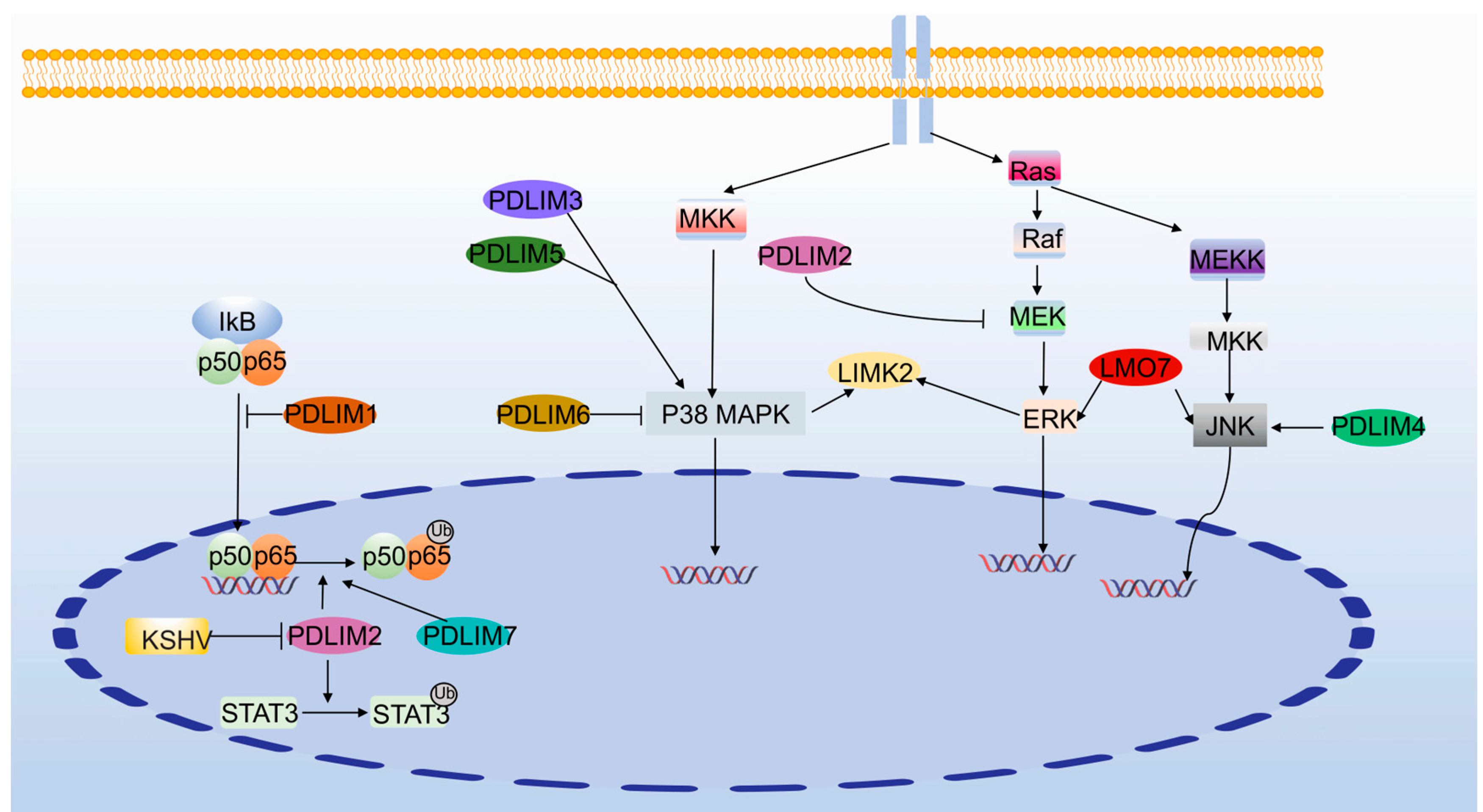 Cancers 15 05042 g006 Cancers 15 05042 g006