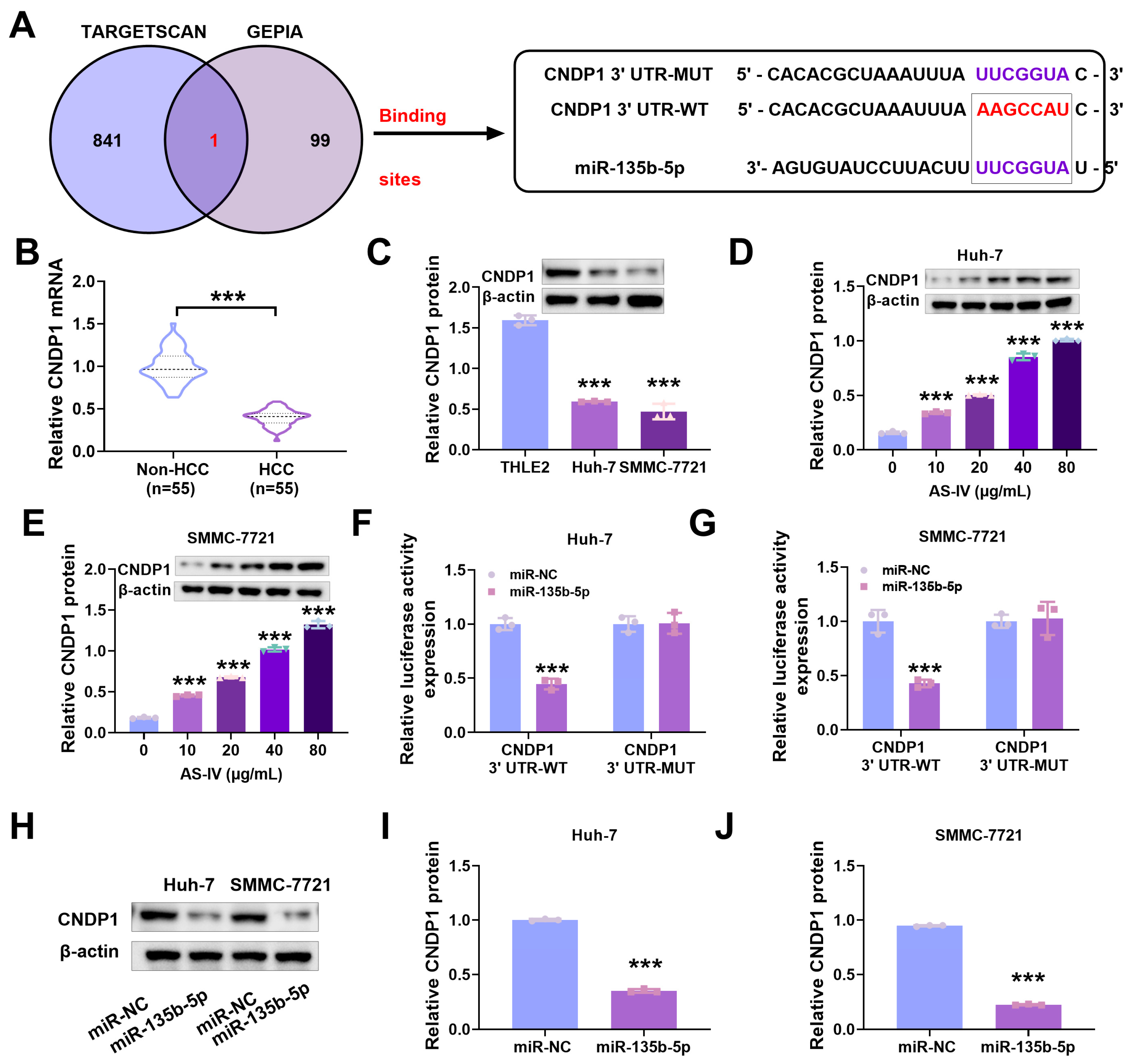 Cancers 15 05048 g005
